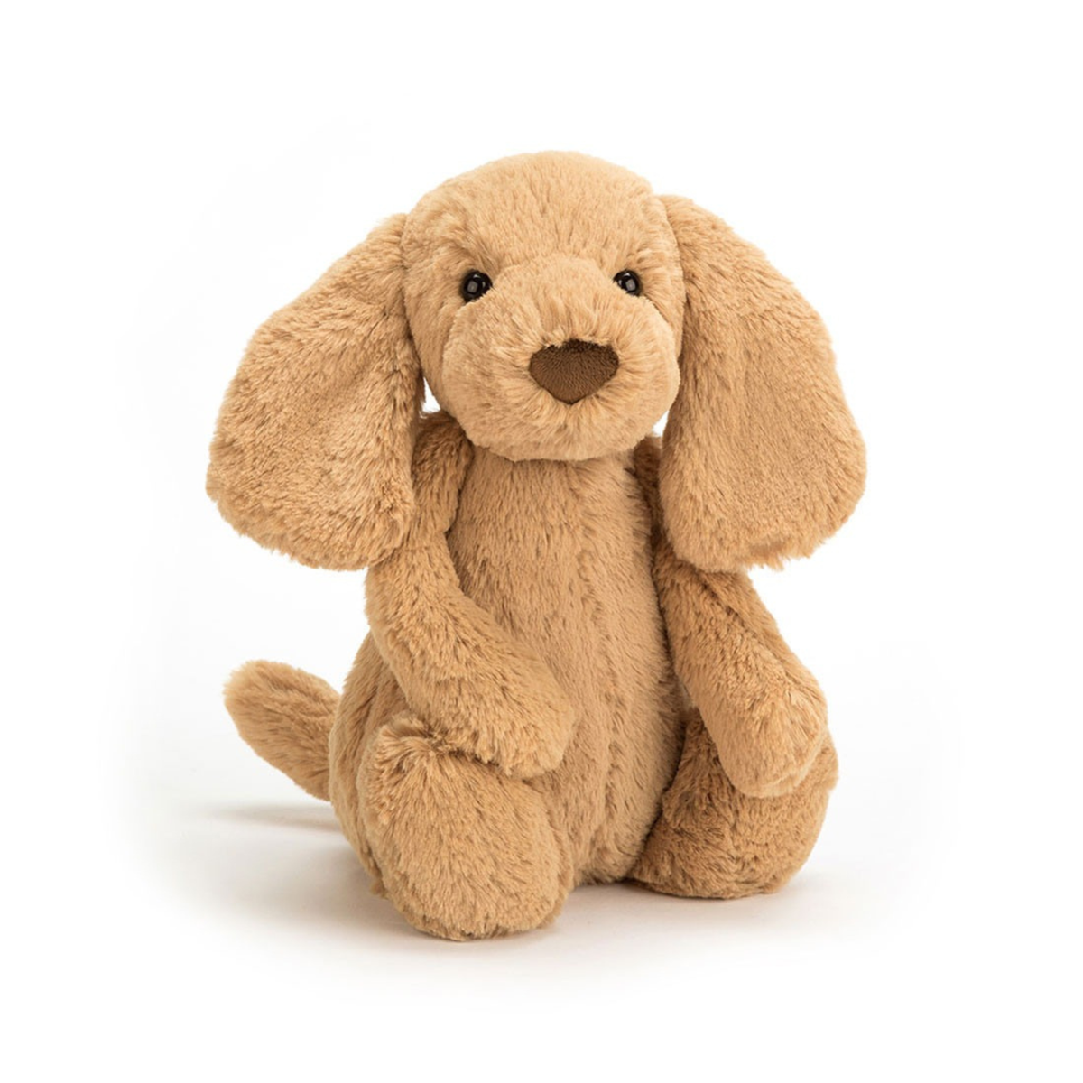 If I Were a Dog Board Book And Bashful Toffee Puppy