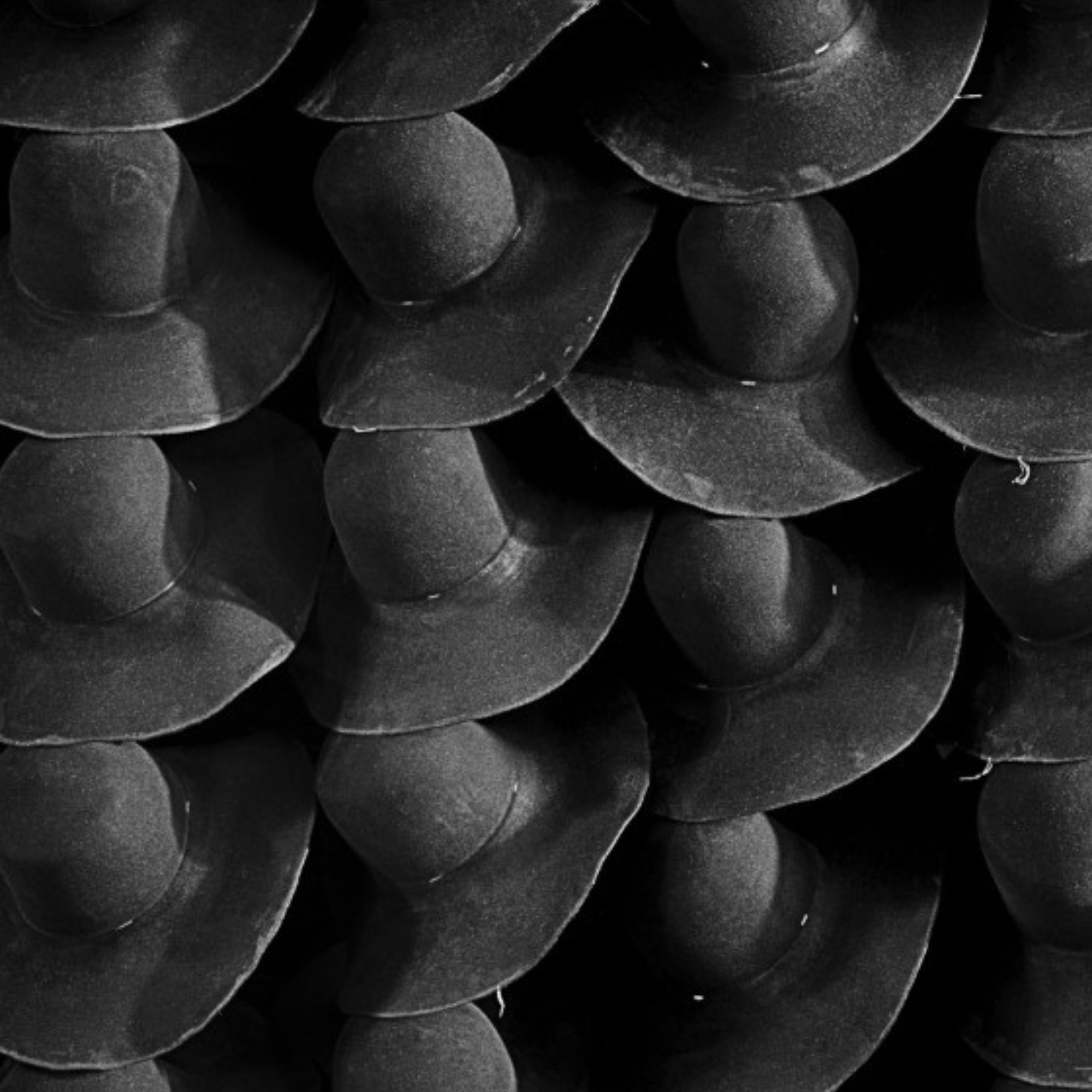 Stetson: American Icon