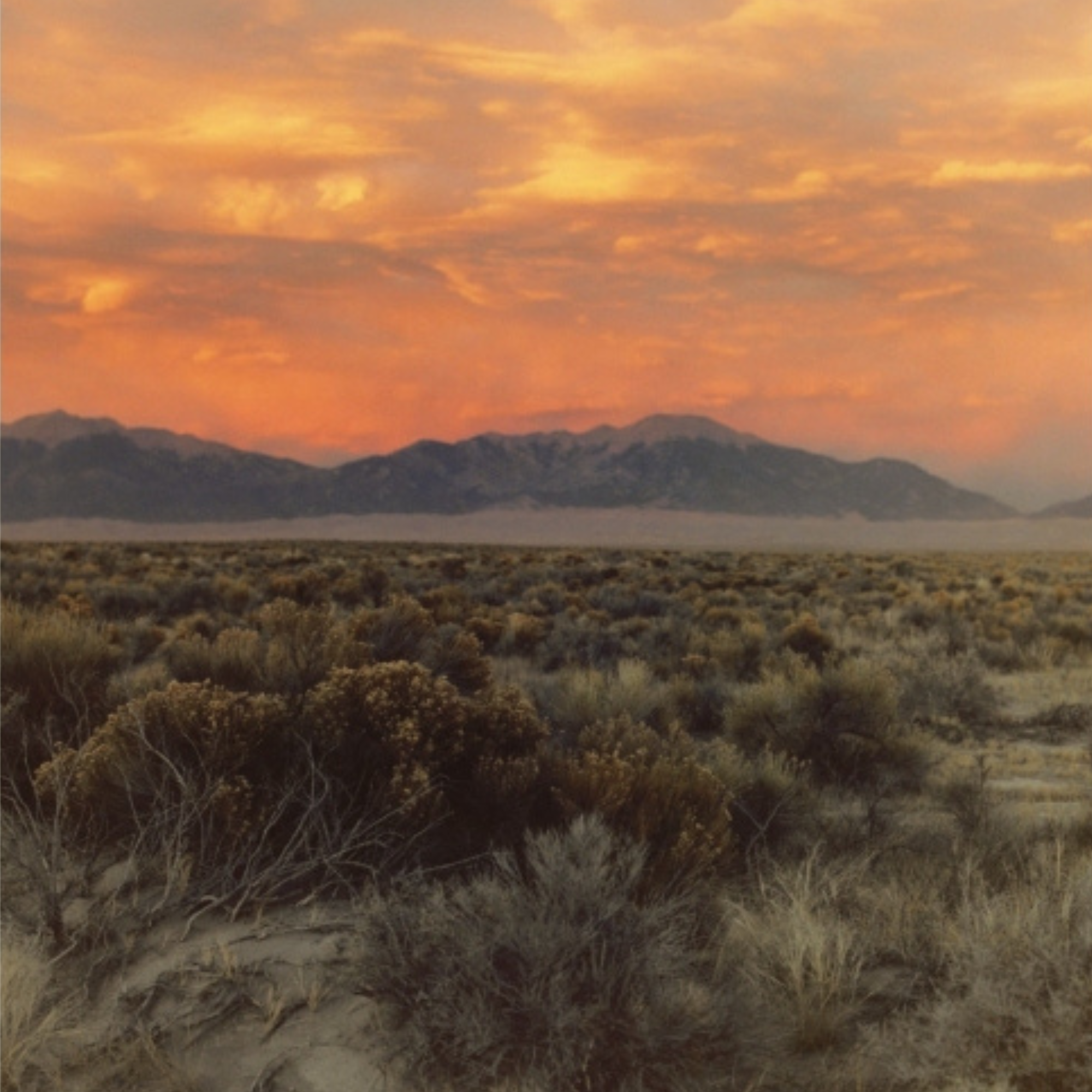 Ranchlands: By the Land, For the Land