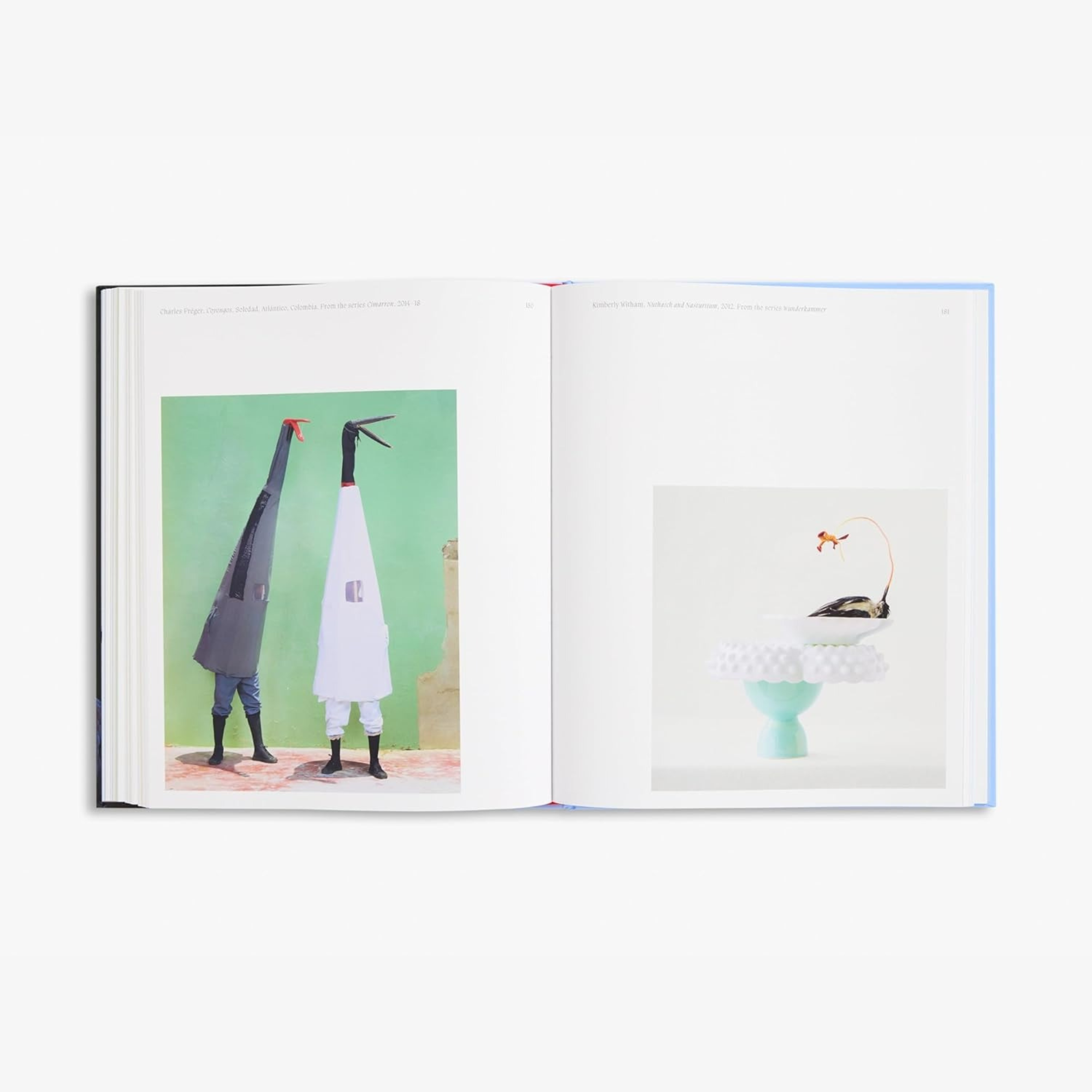 Aviary: The Bird in Contemporary Photography