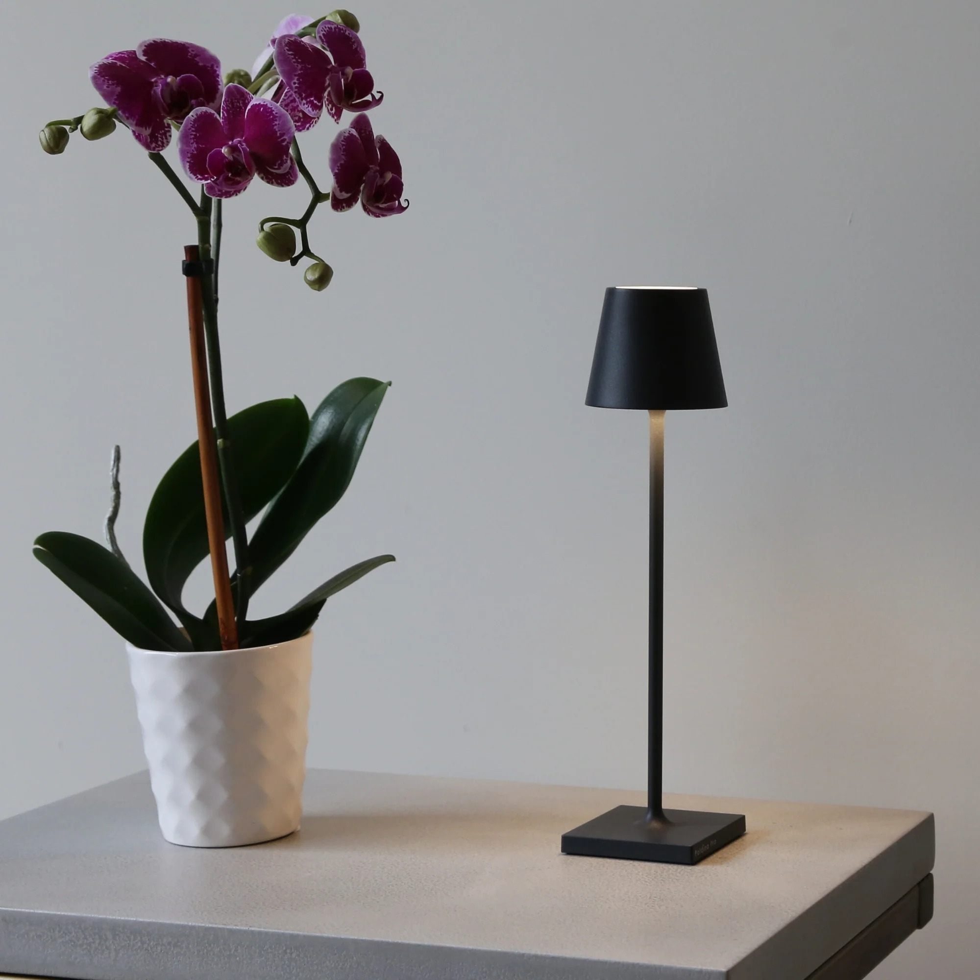 Poldina Pro Micro Table Lamp