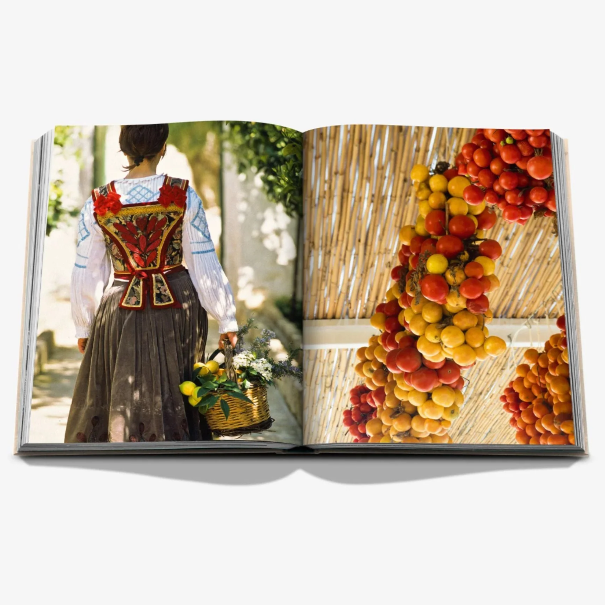 Wine & Travel Complete Collection Gift Set