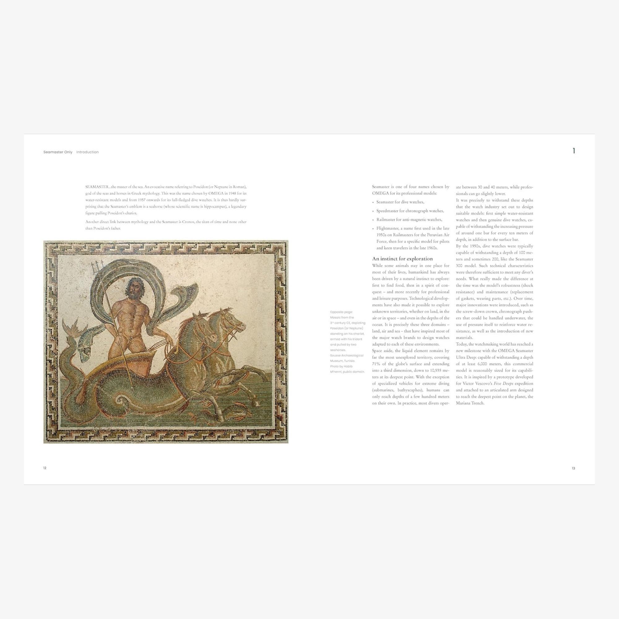 Seamaster Only: The OMEGA Diver's Watch