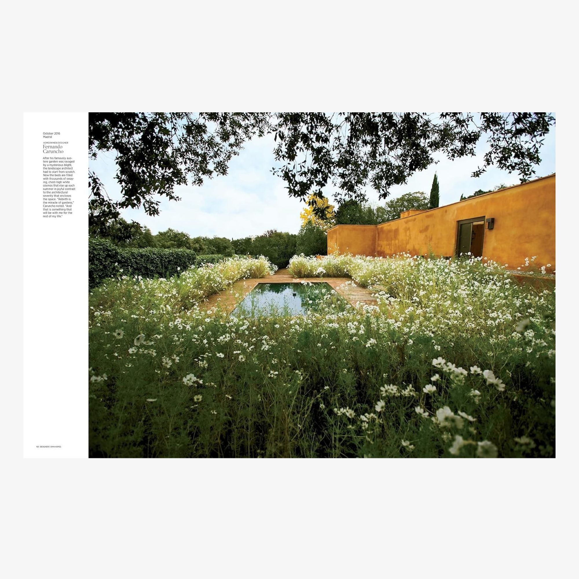 Architectural Digest at 100: The Collector's Edition Forward by Anna Wintour