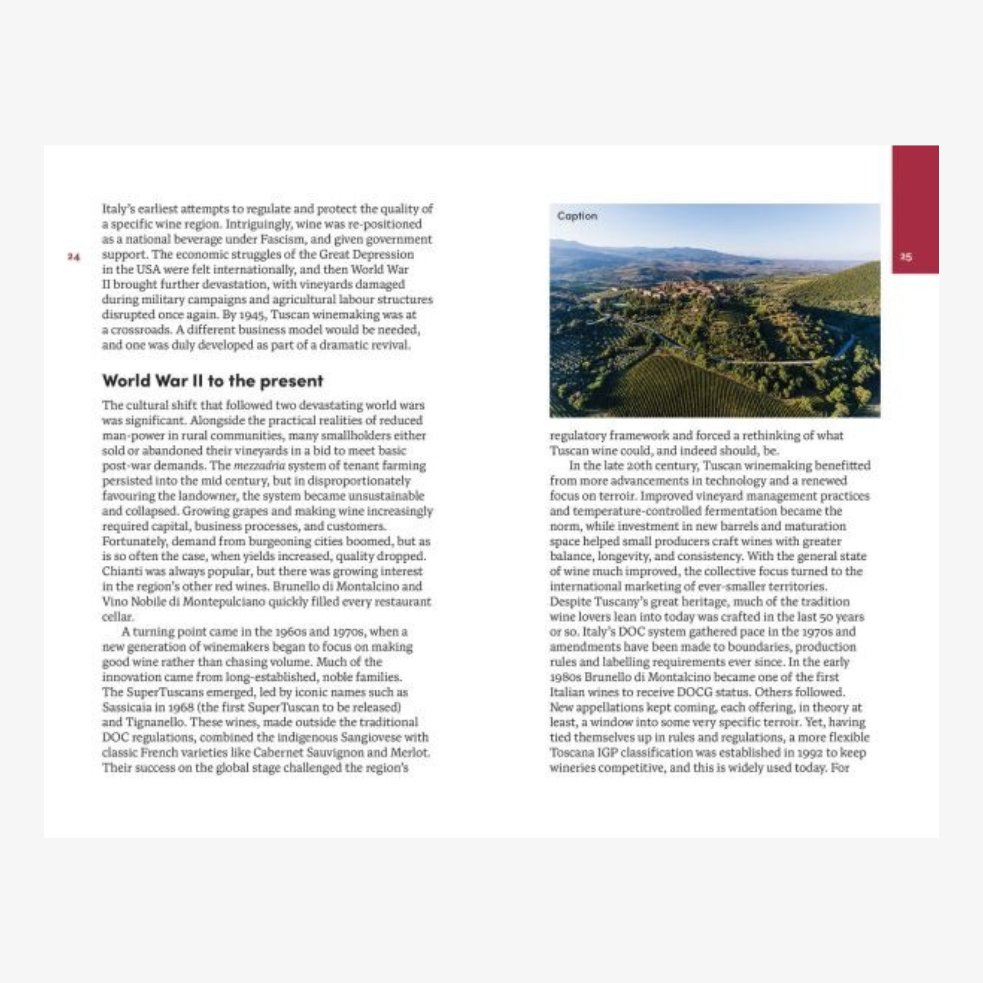 Tuscany: The Smart Traveller's Wine Guide