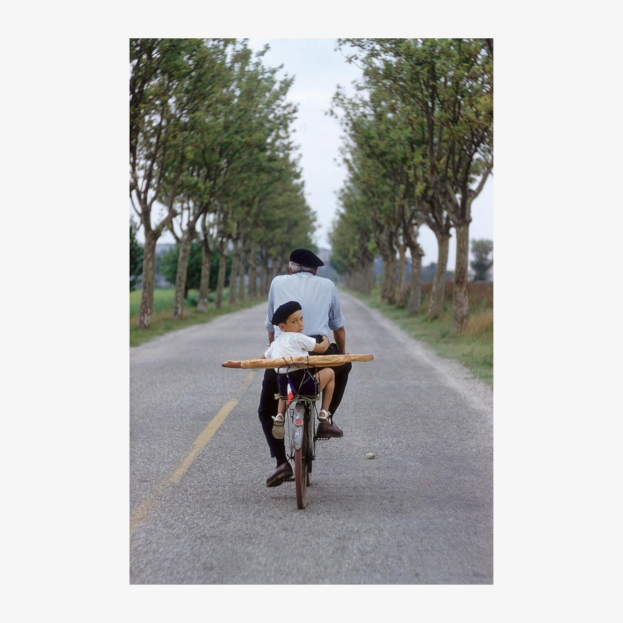 Elliott Erwitt's Kolor: New Edition