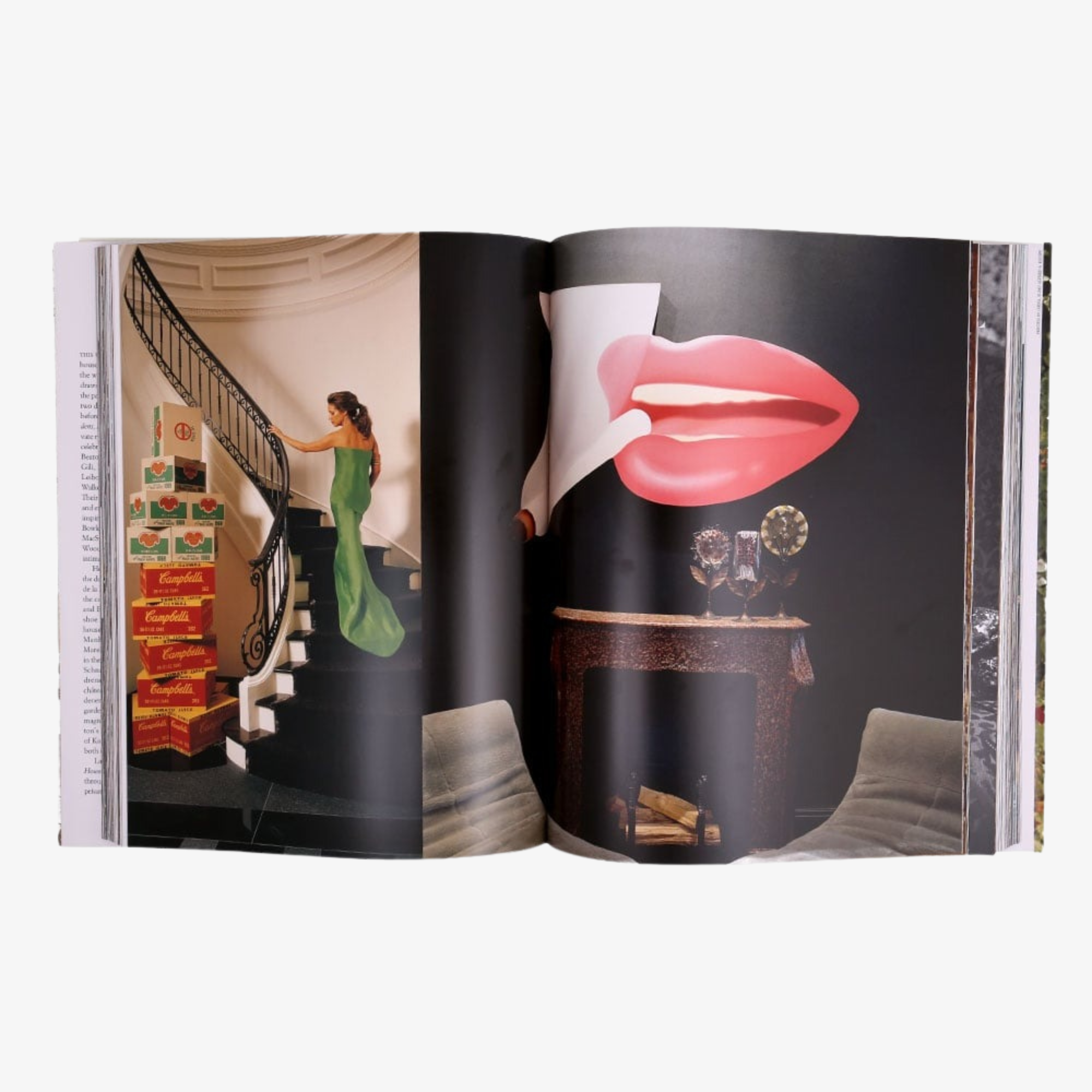 Vogue Living: Houses, Gardens, People, with a Foreword by Calvin Klein