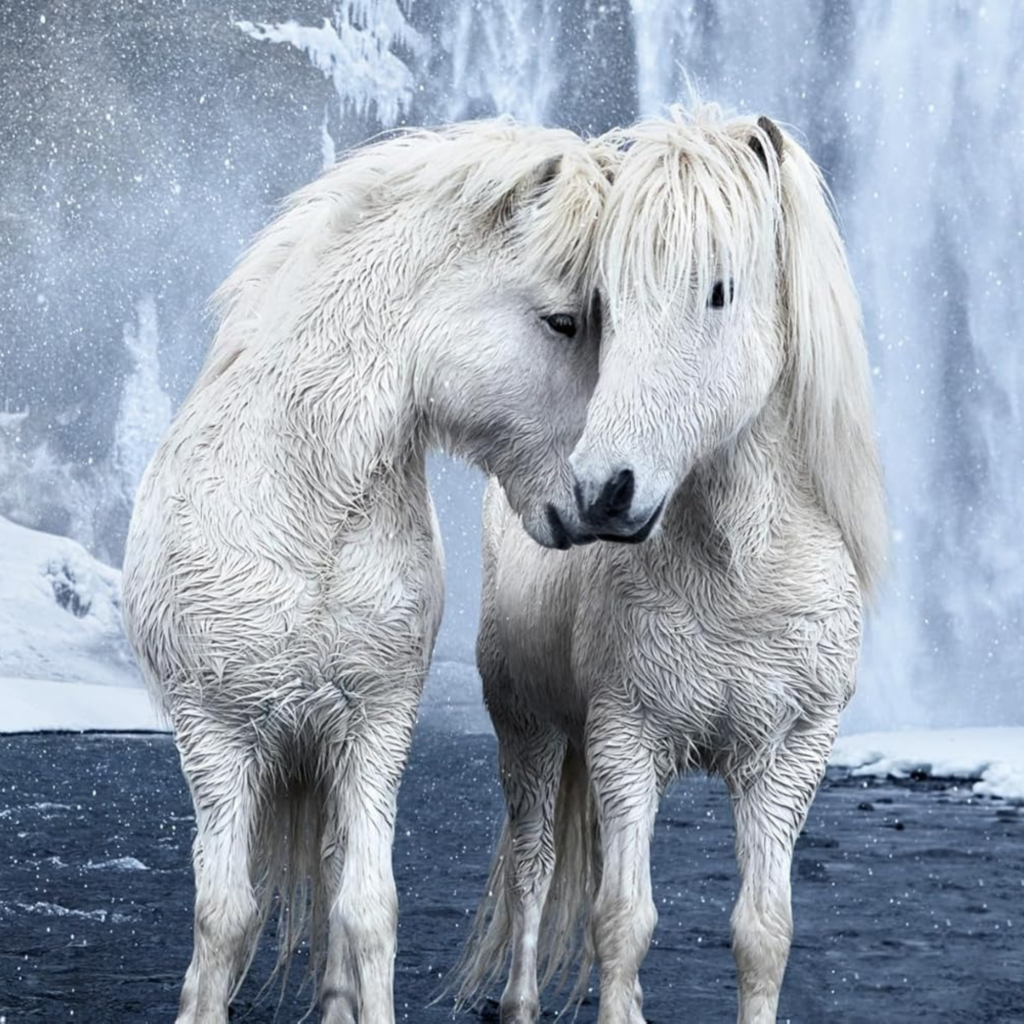 Untamed Spirits: Horses from Around the World