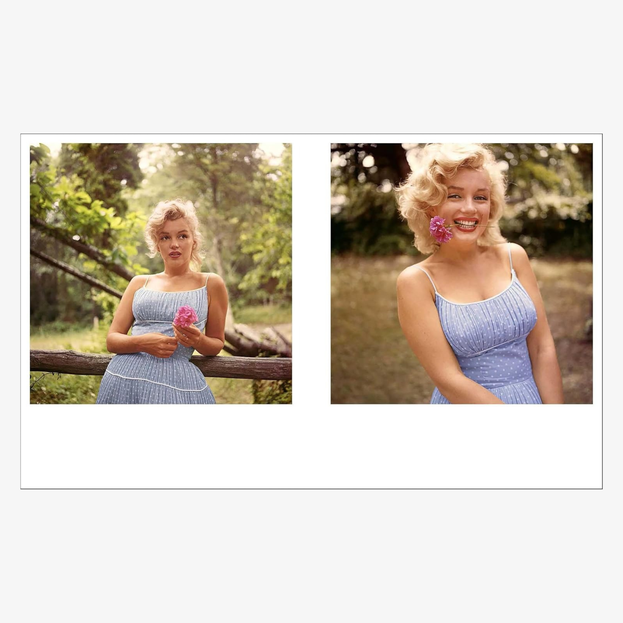 Marilyn Monroe 100: The Official Centenary Book