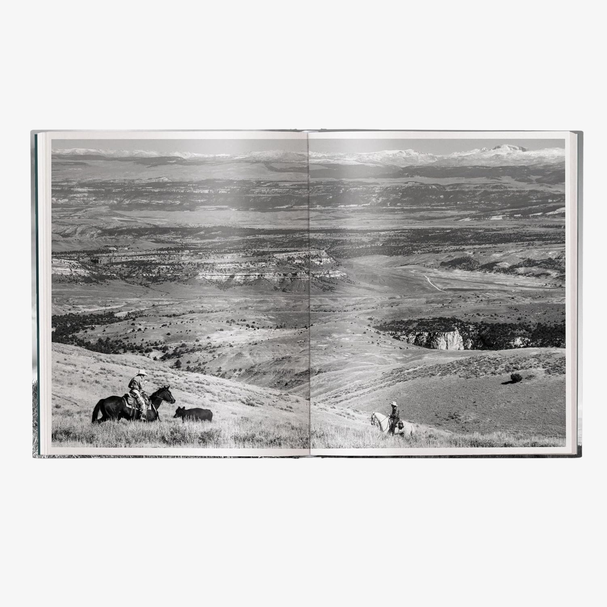 A Ranch Year: Cowboys of the West