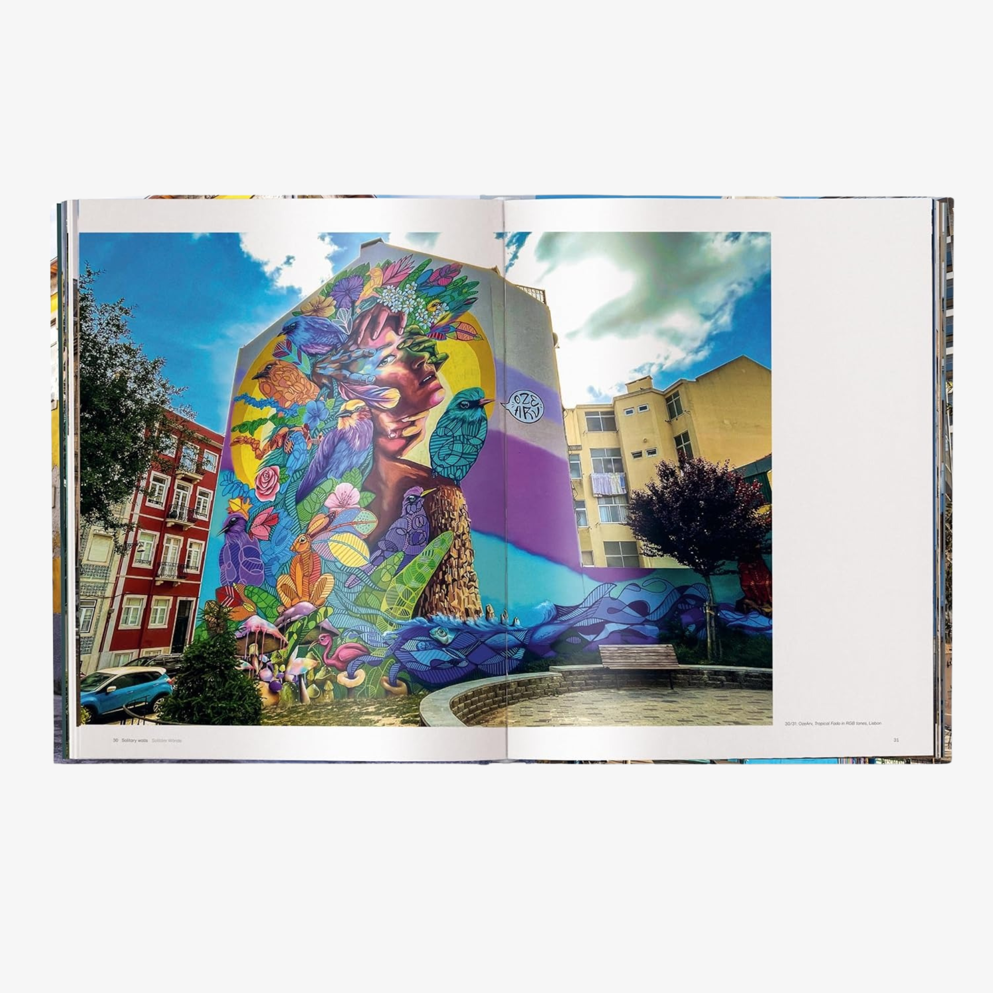 Masters of Street Art: Art Without Frame