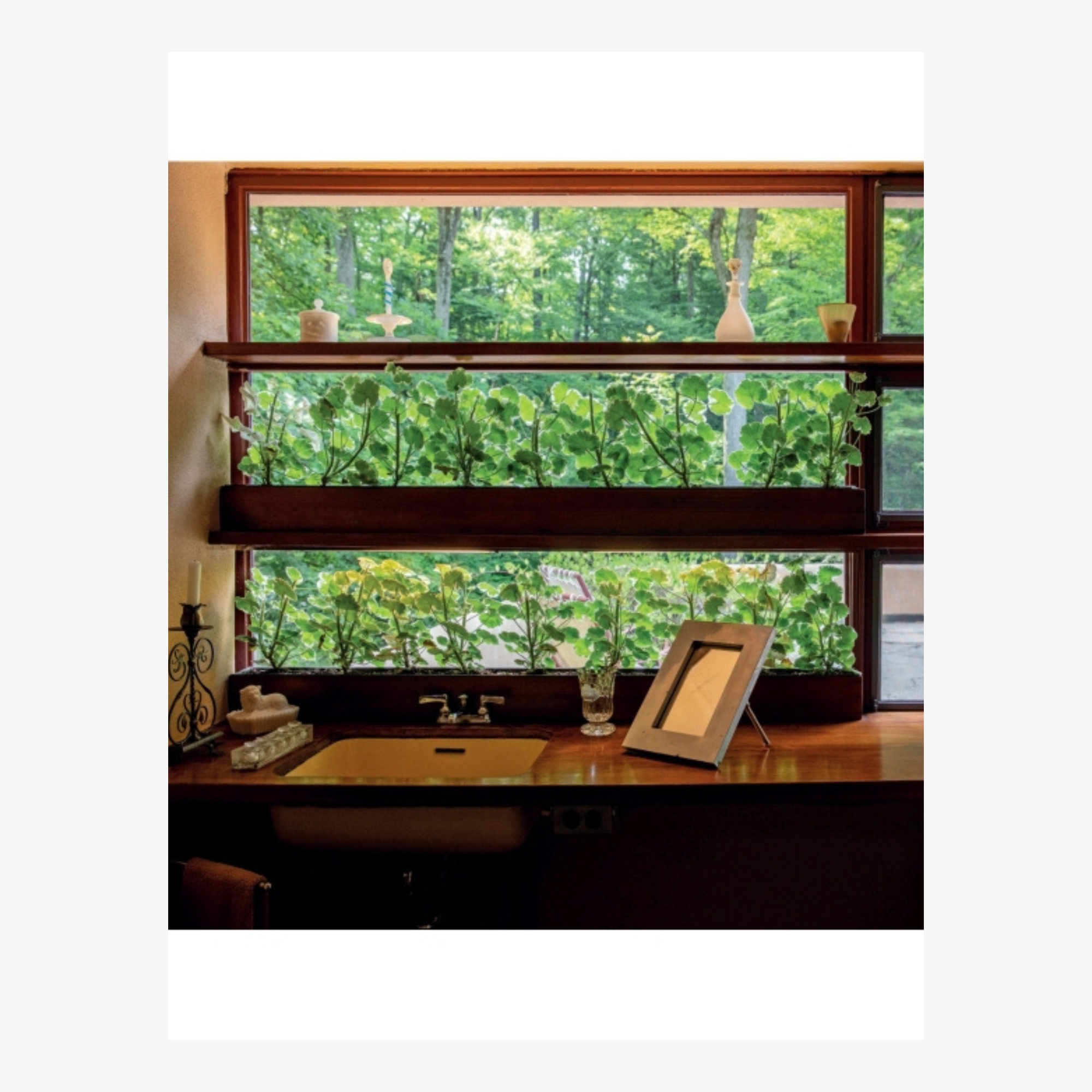 Fallingwater: Living With and In Art