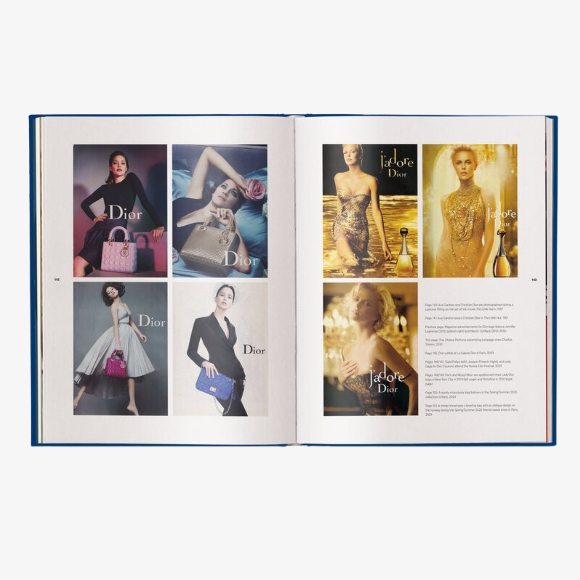 The Ultimate Guide to Dior Bags (Brand Bible)