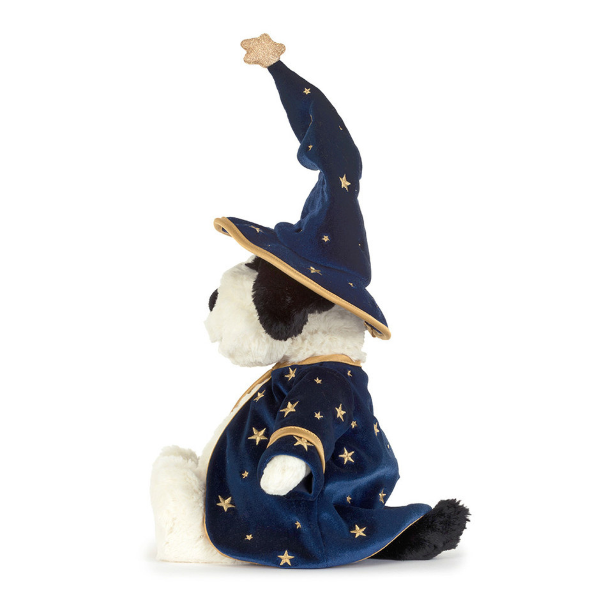 Rufferty Puppy Wizard