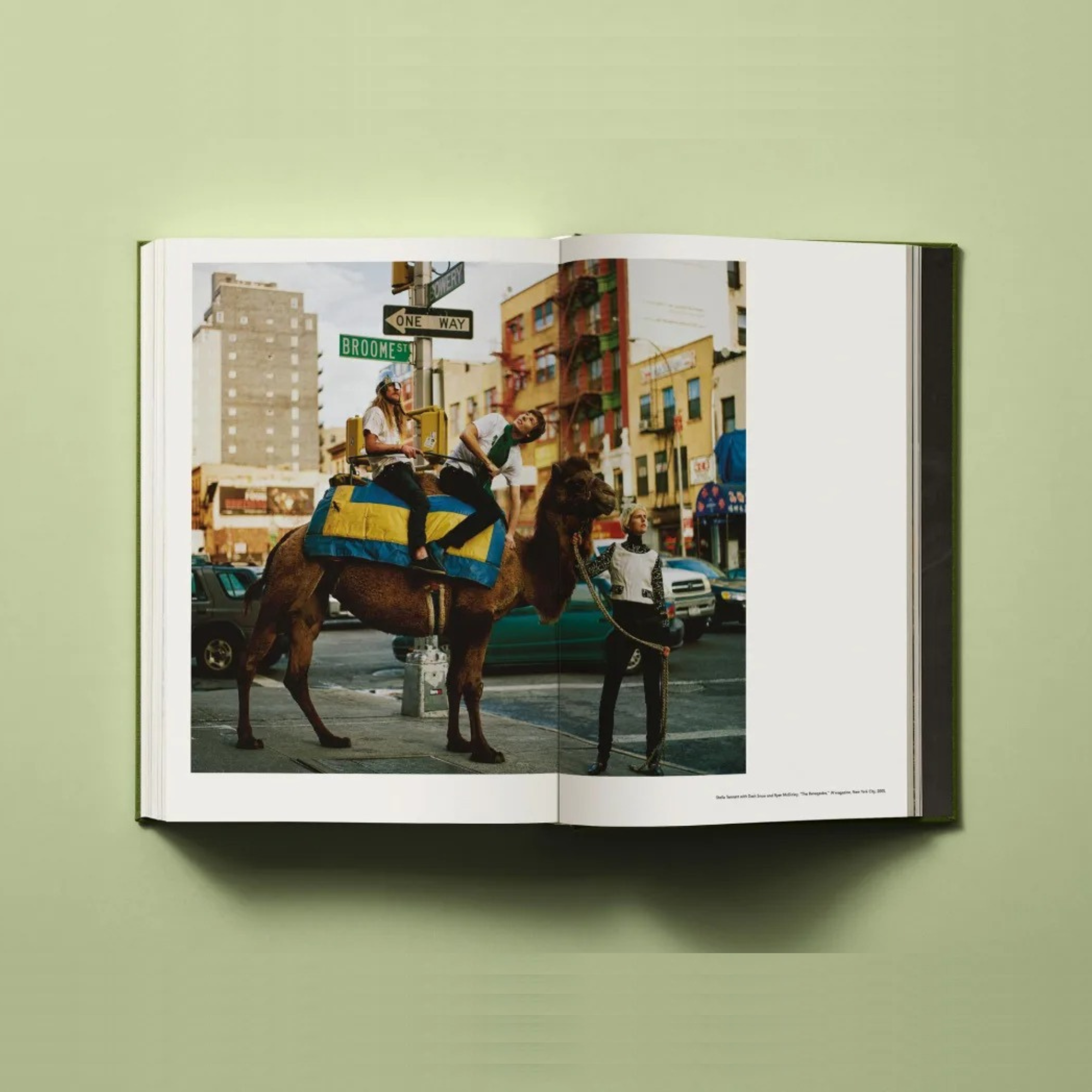 Bruce Weber: My Education