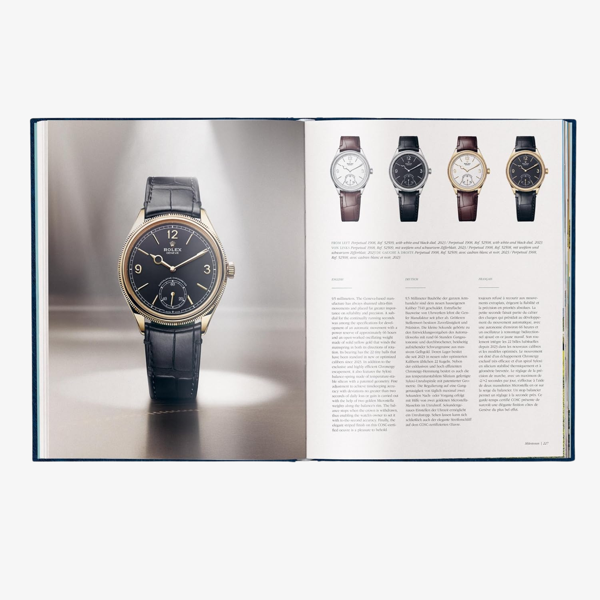 The Watch Book Rolex: Special Luxury Edition