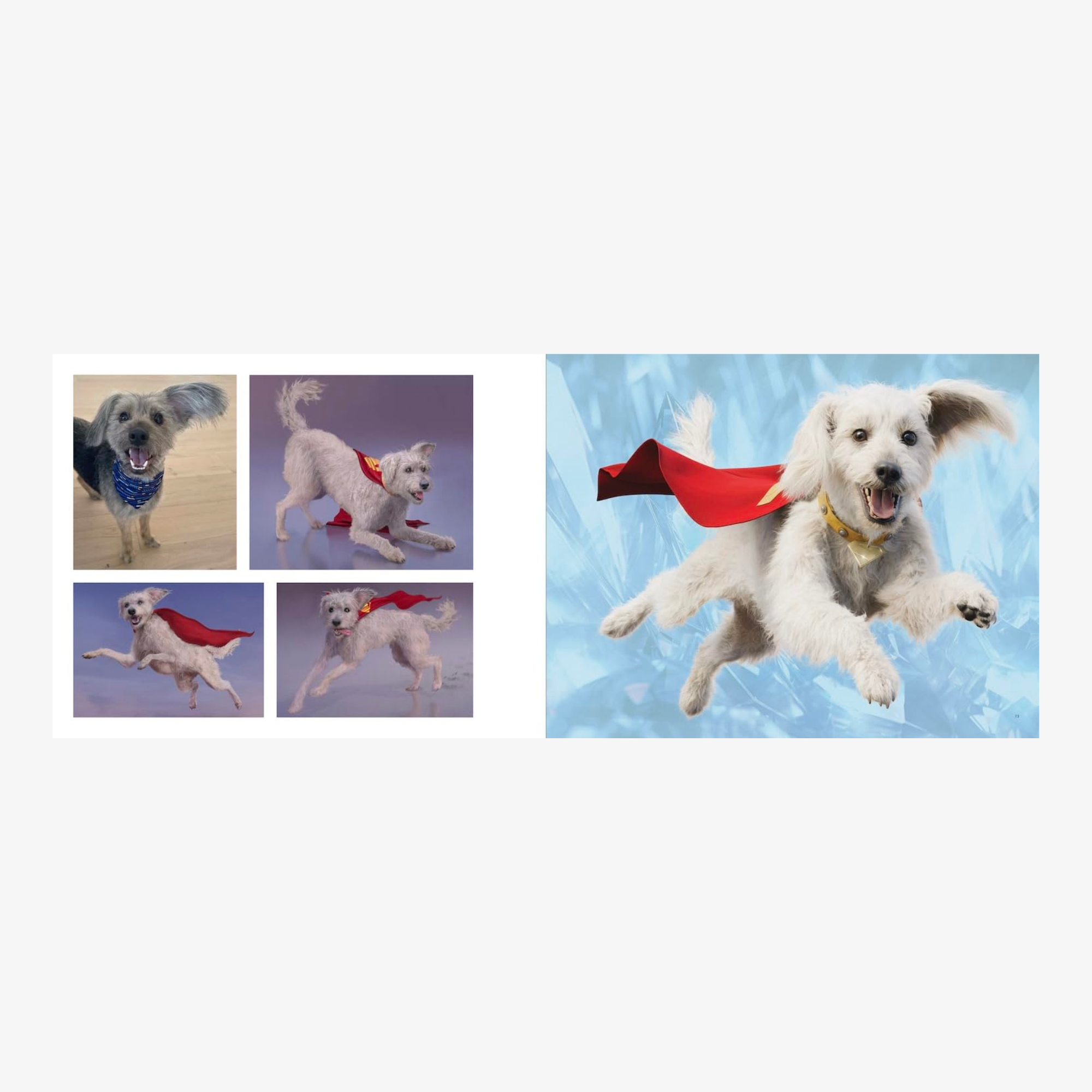 Superman: The Art and Making of the Film