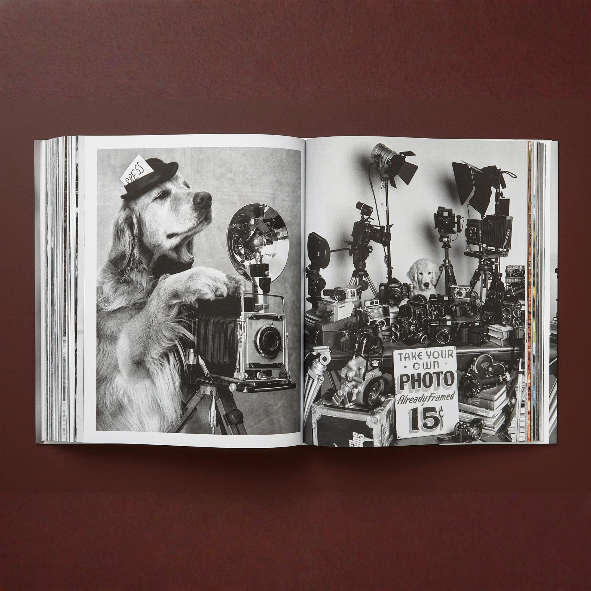 Bruce Weber: The Golden Retriever Photographic Society