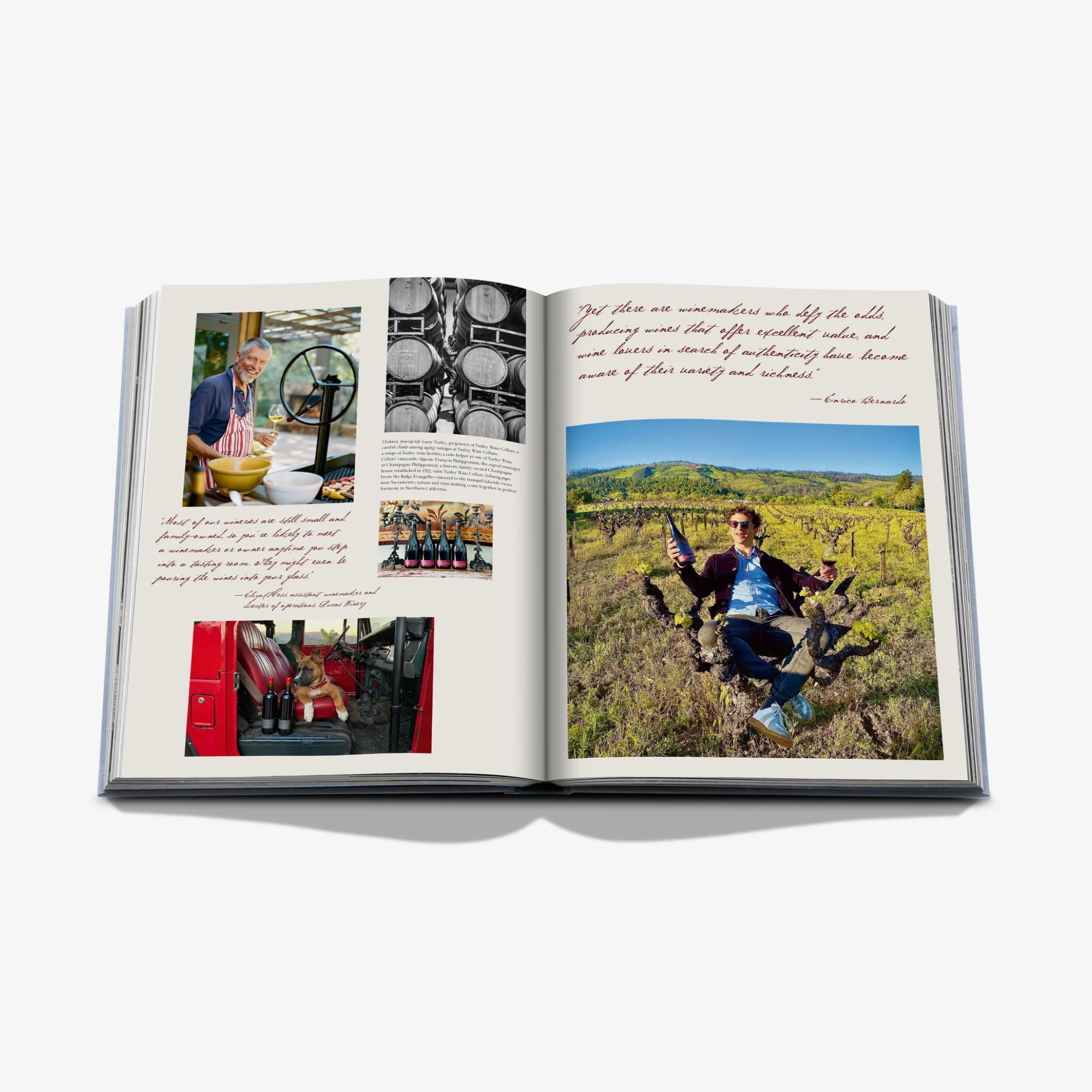 Wine & Travel United States of America