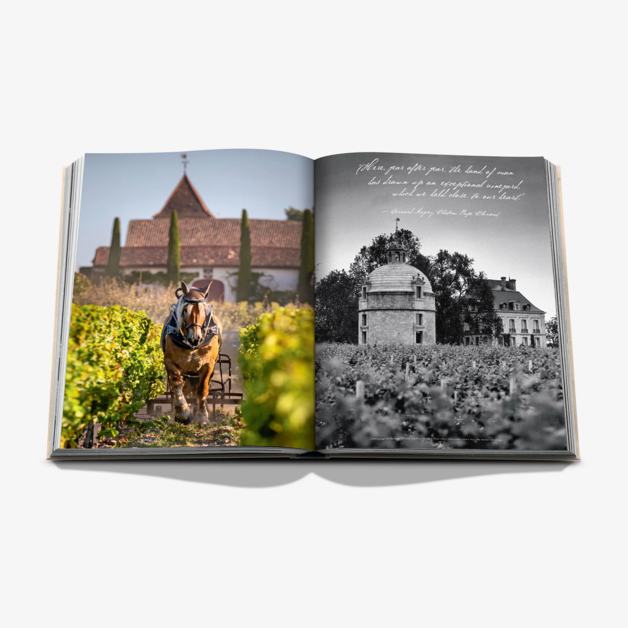 Wine and Travel: France, Italy, Mediterranean Islands Gift Set