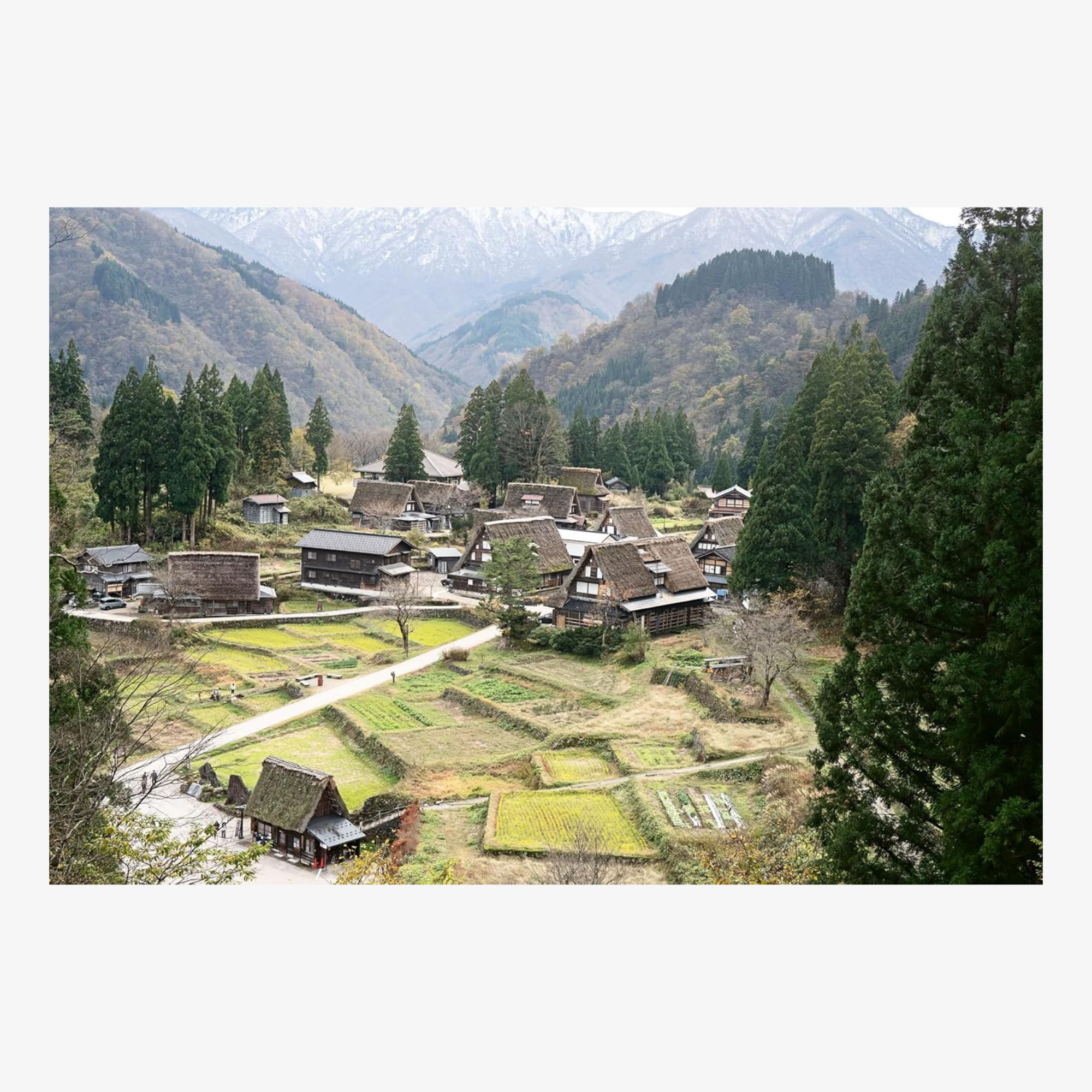 Sake: The Art and Craft of Japan's National Drink