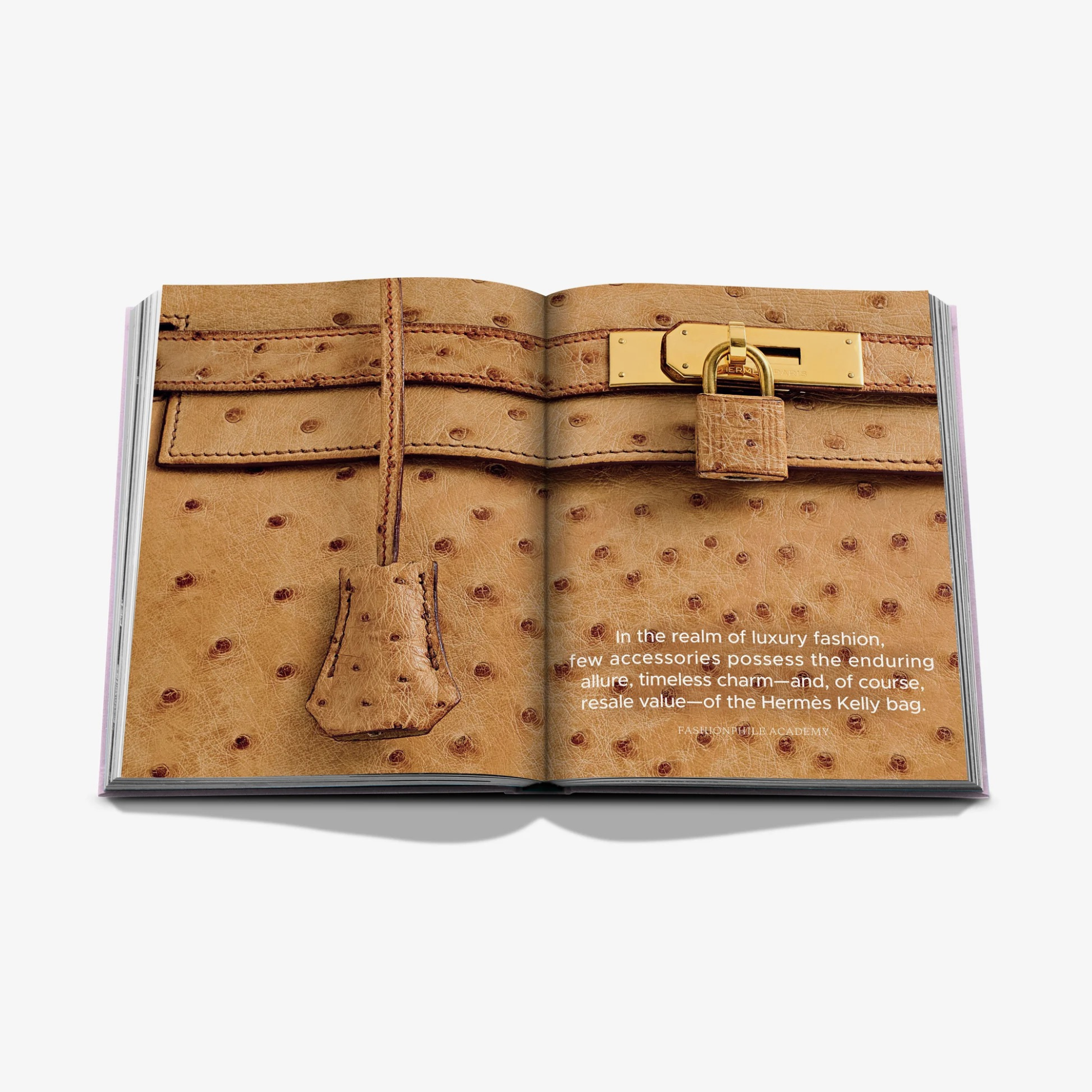 Fashionphile: The Book of Iconic Bags