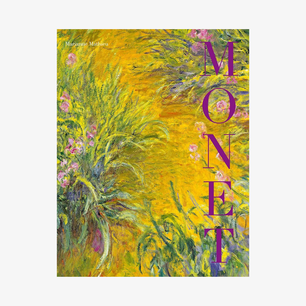 Monet: Beyond the Horizon