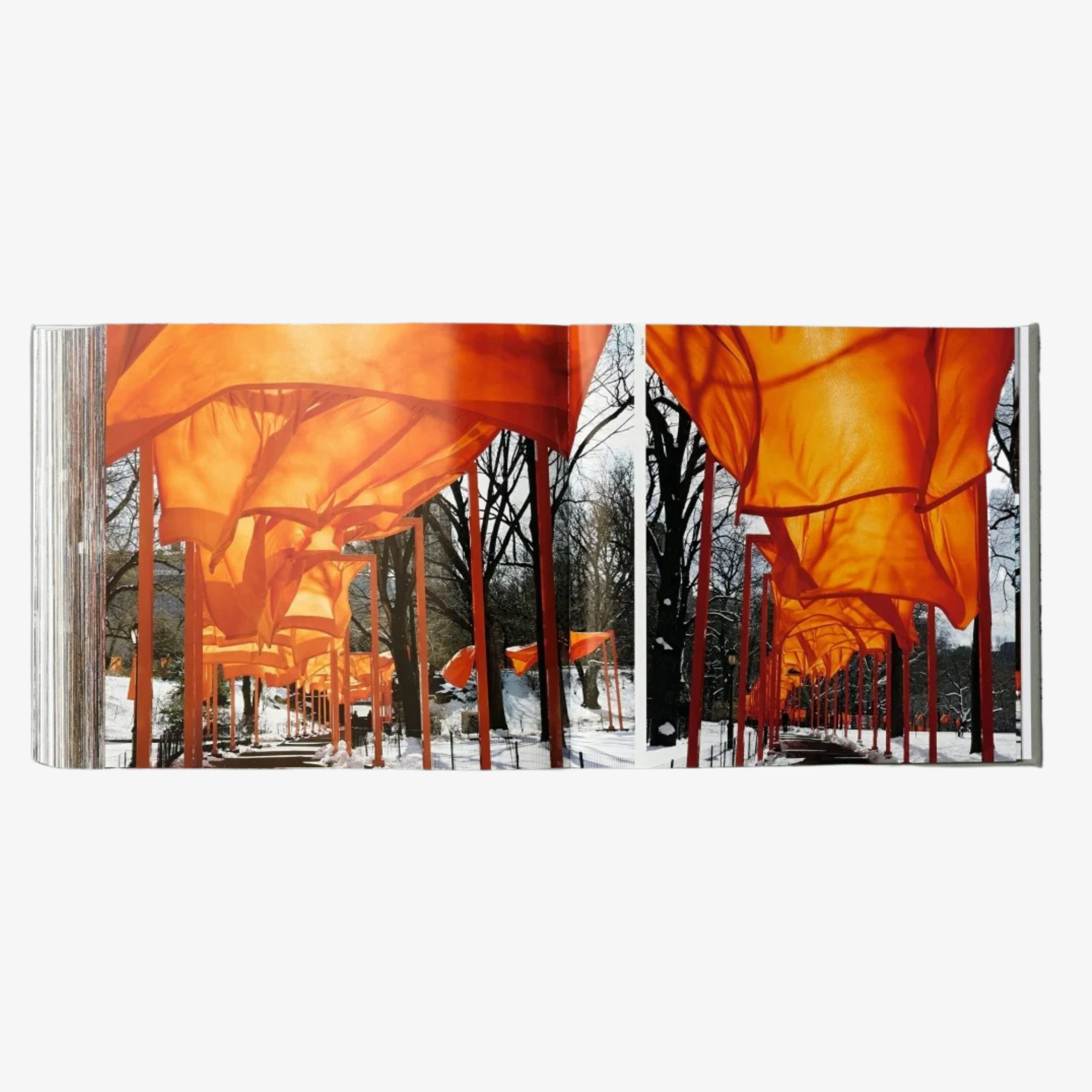 Christo and Jeanne-Claude: The Gates