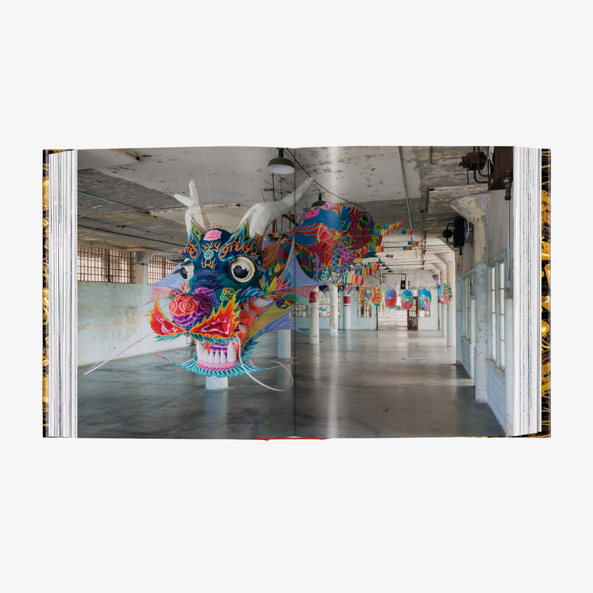 Ai Weiwei. Updated Edition