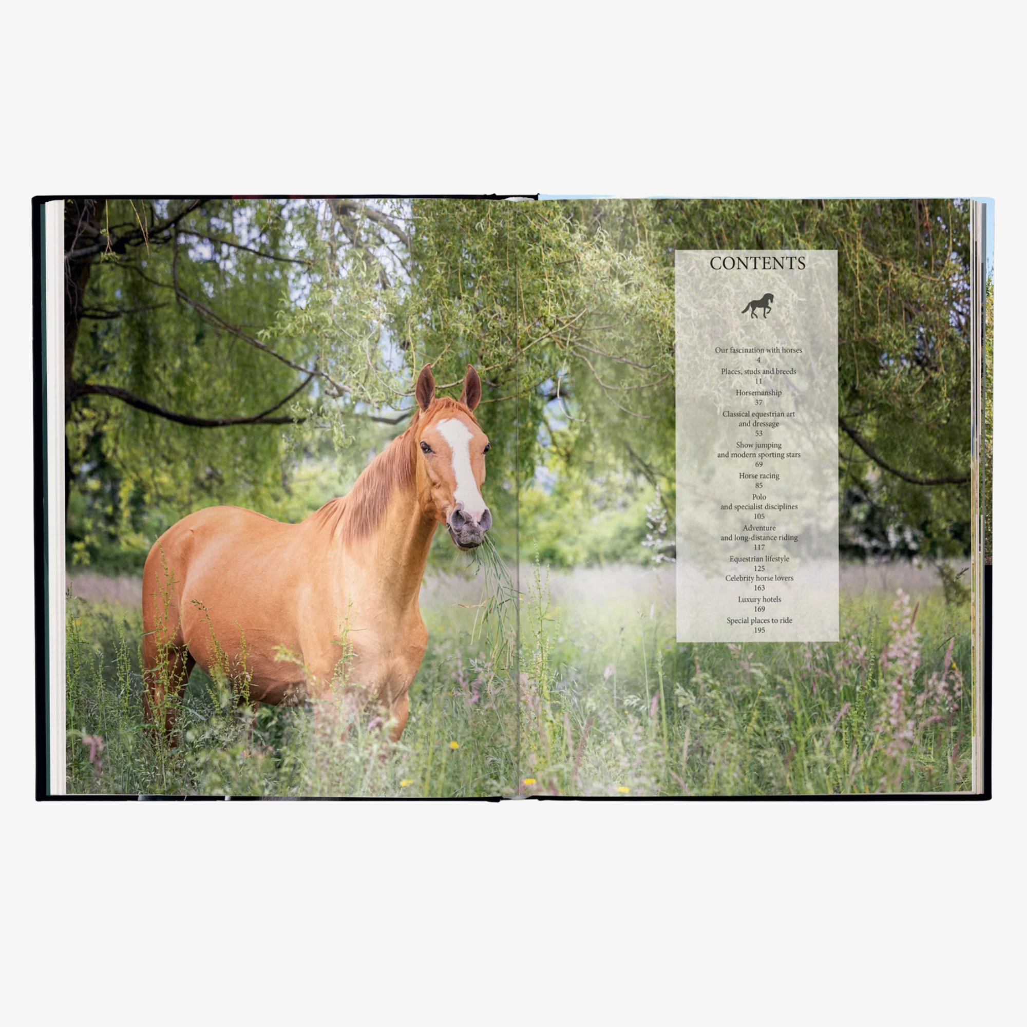 Equestrian - The Ultimate Book