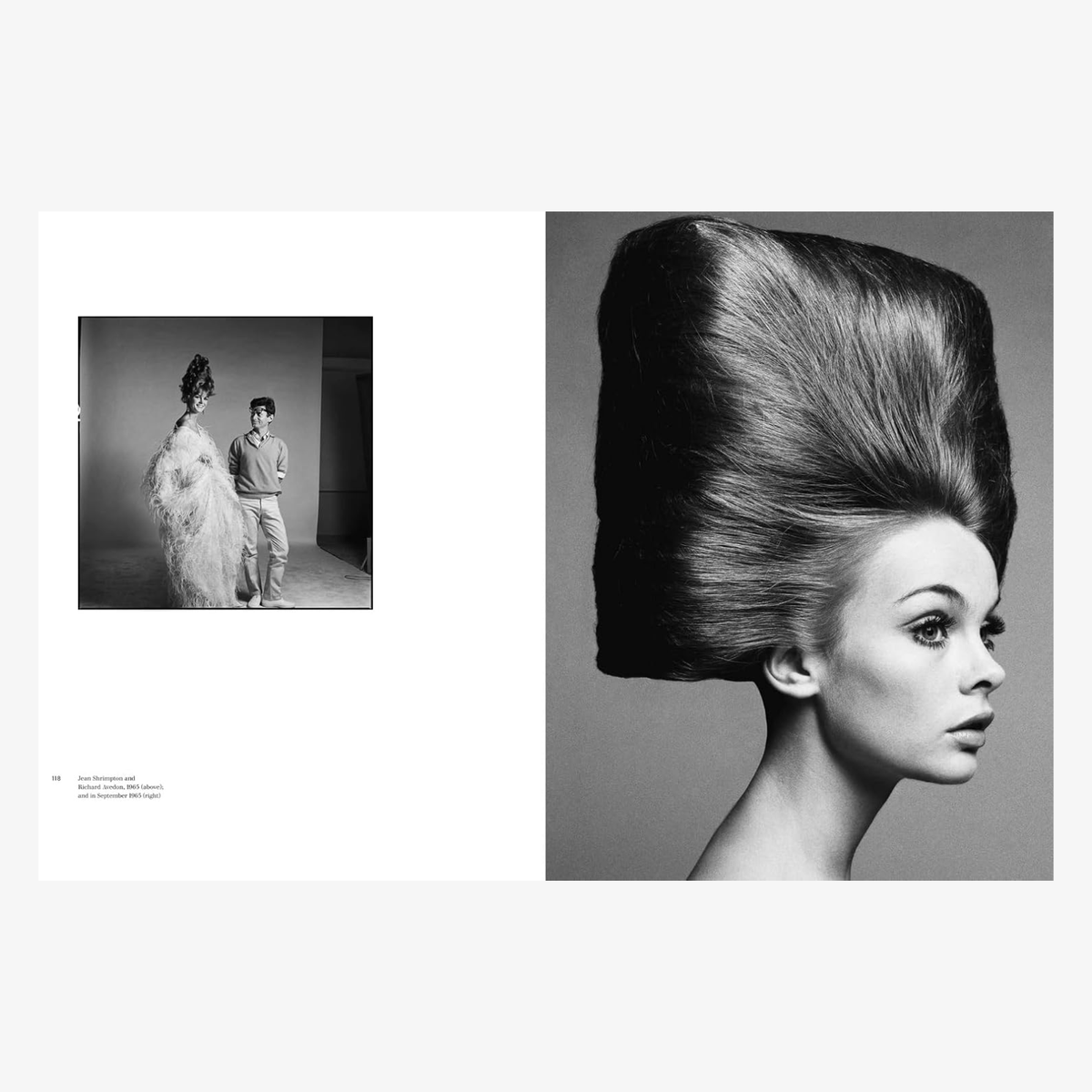 Richard Avedon: The Harper's Bazaar Years