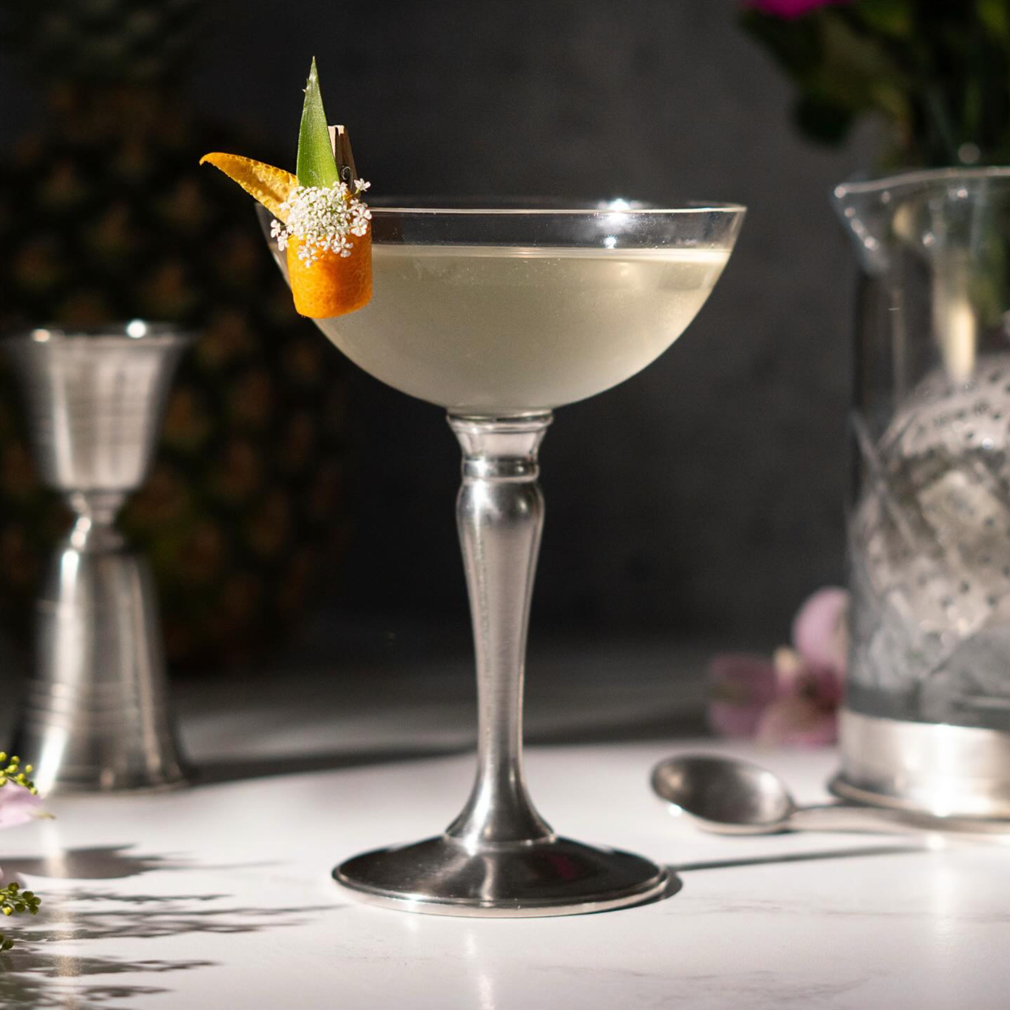 Champagne/Cocktail Coupe