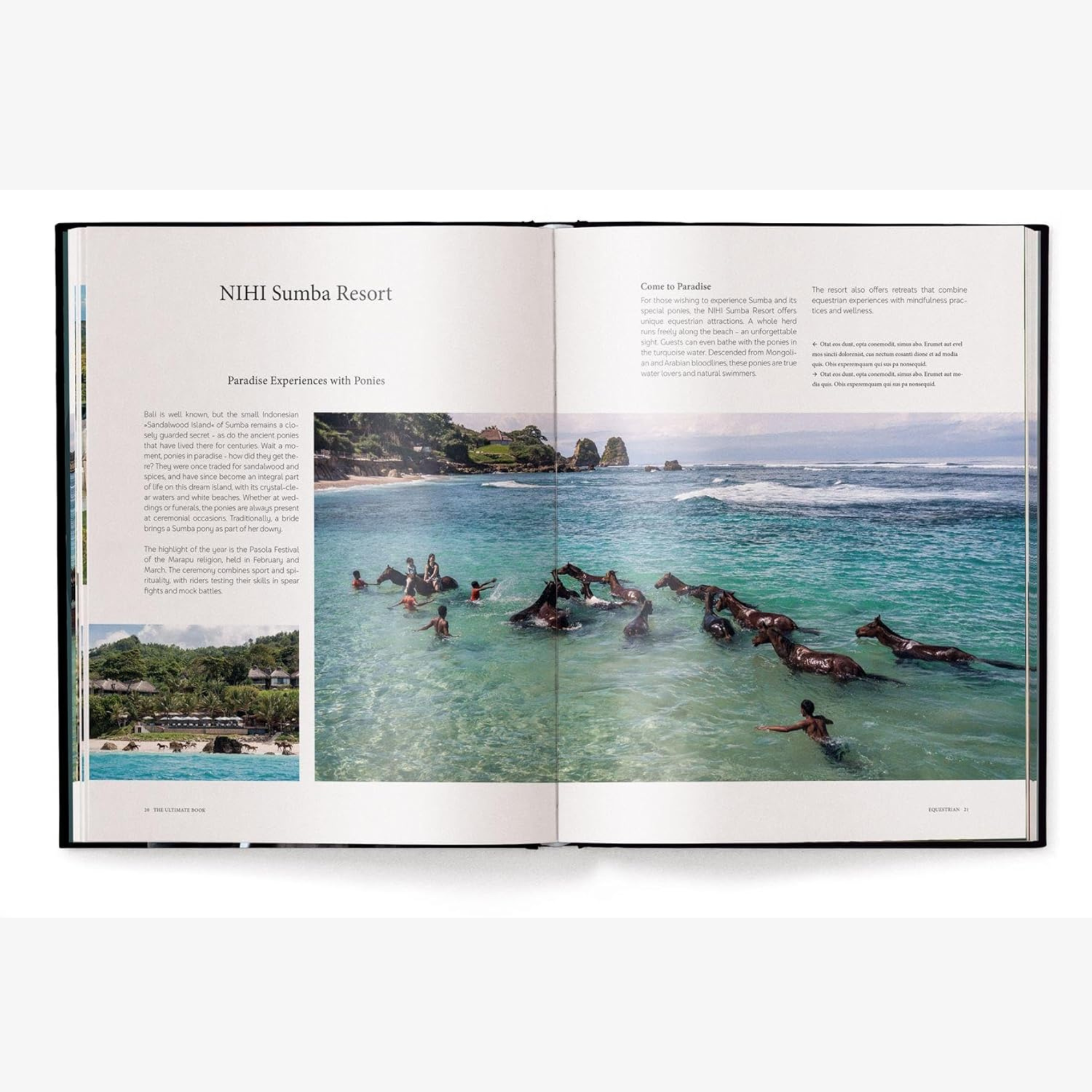 Equestrian - The Ultimate Book