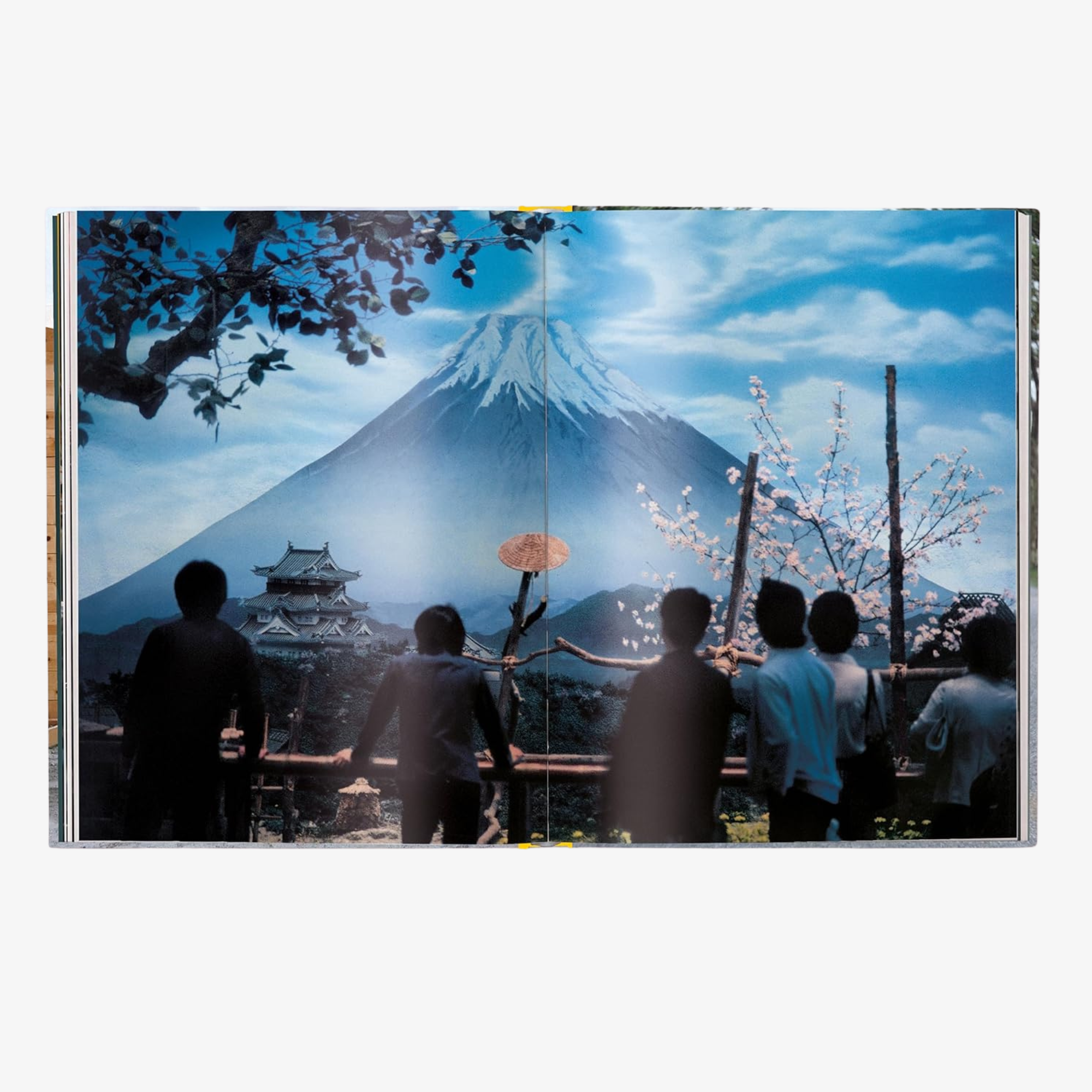 Elliott Erwitt's Kolor: New Edition