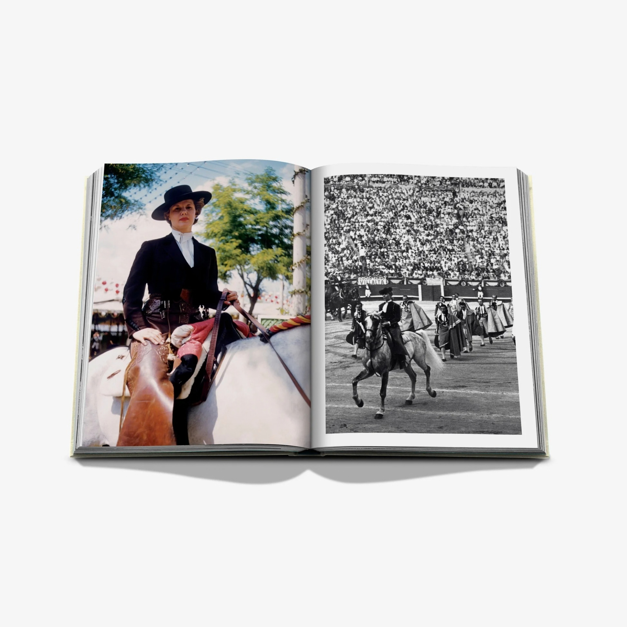 Cayetana, The Dutchess of Alba Art: Aristocracy, and the Soul of Spain