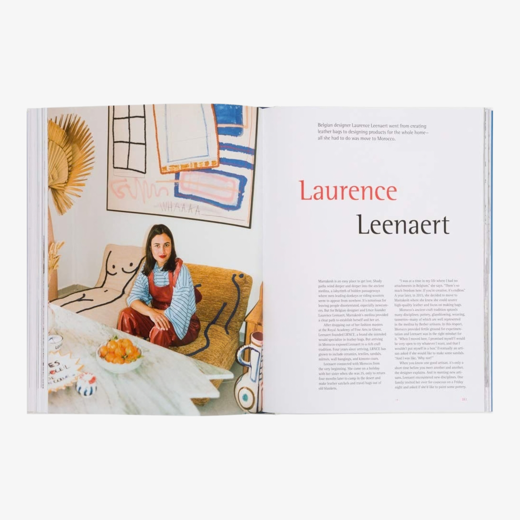 The New Mediterranean: Homes and Interiors Under the Southern Sun Hardcover