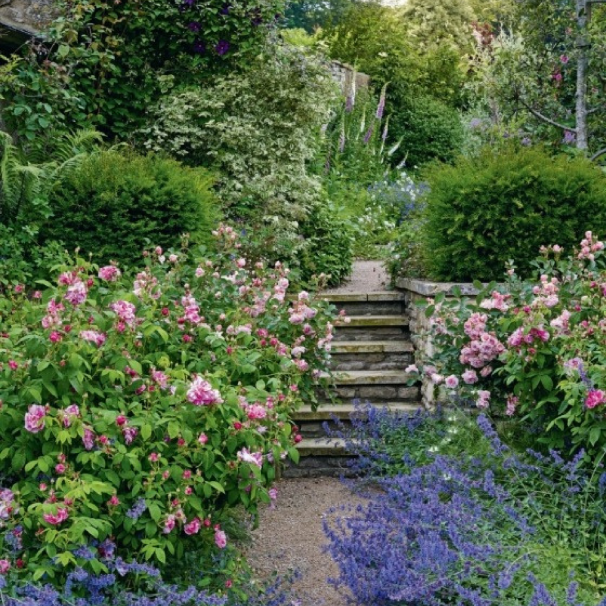 Gardens Illustrated: The New Beautiful: Inspiring Gardens for a Resilient Future