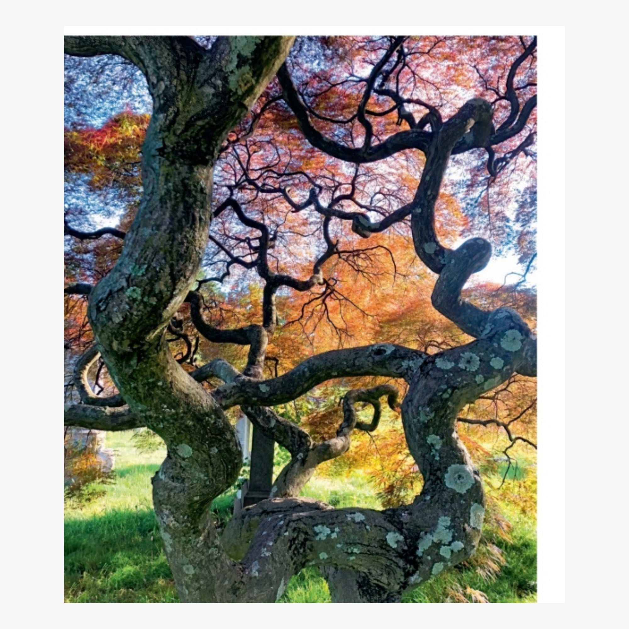 Brooklyn Arcadia: Art, History, and Nature at Majestic Green-Wood