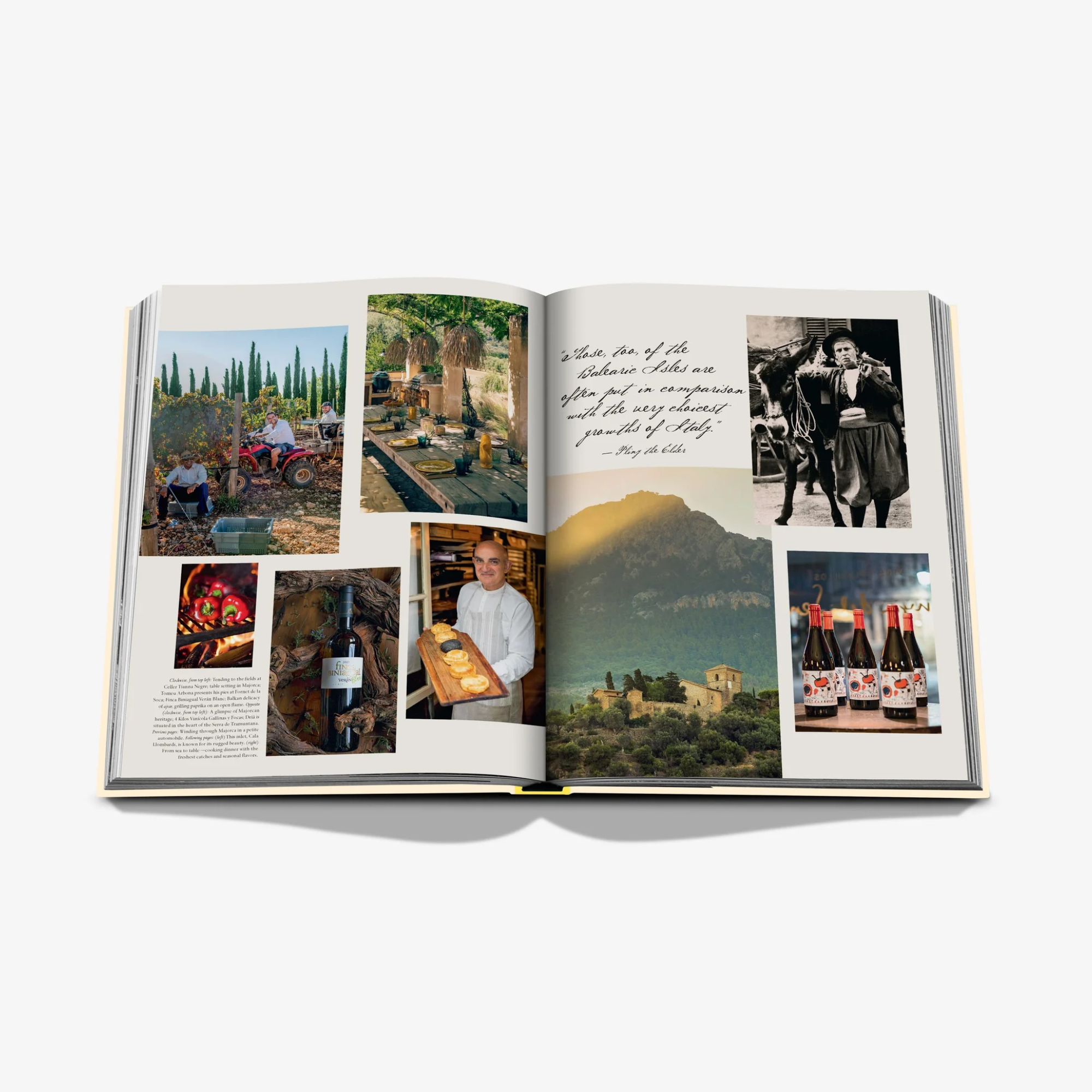 Wine & Travel: Mediterranean Islands