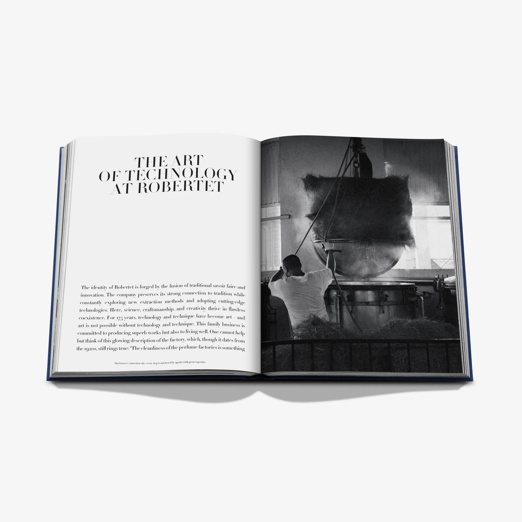 Robertet: From Seed to Scent