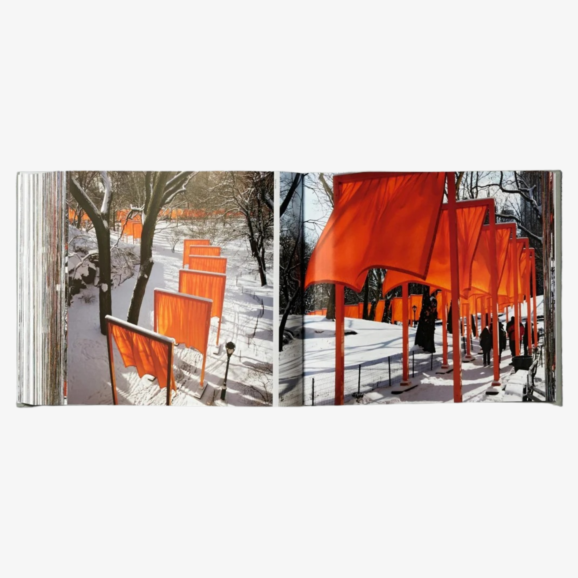 Christo and Jeanne-Claude: The Gates