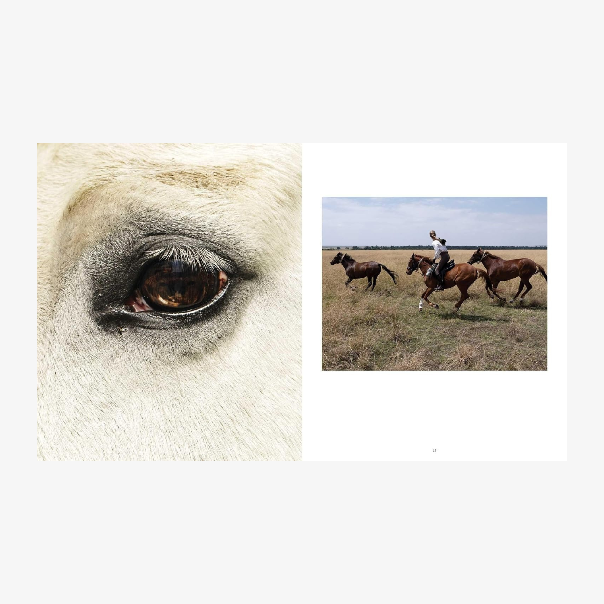 Horse Country, with a Foreword by India Hicks