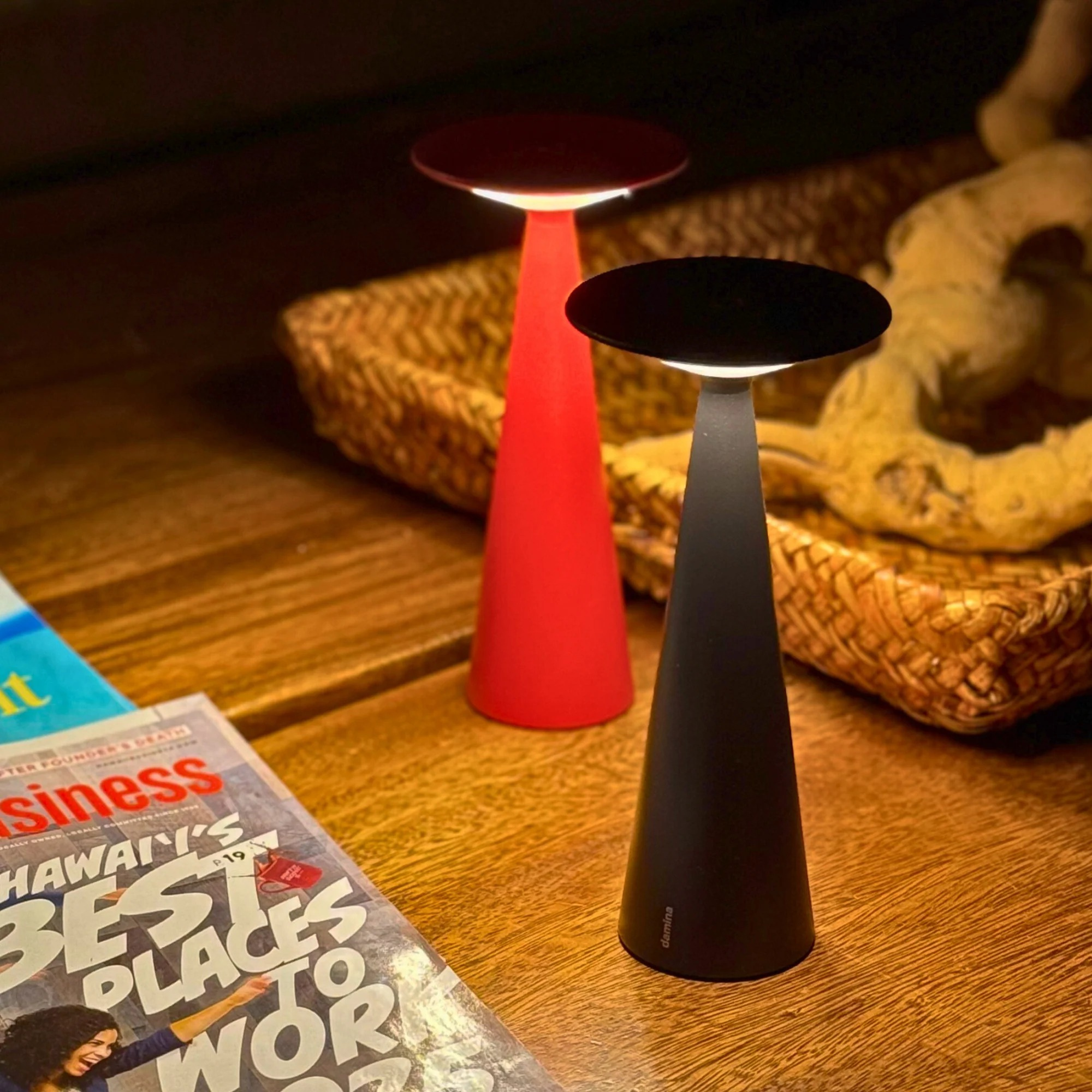 Damina Pro Table Lamp