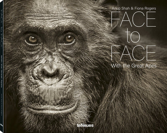 Face To Face With the Great Apes