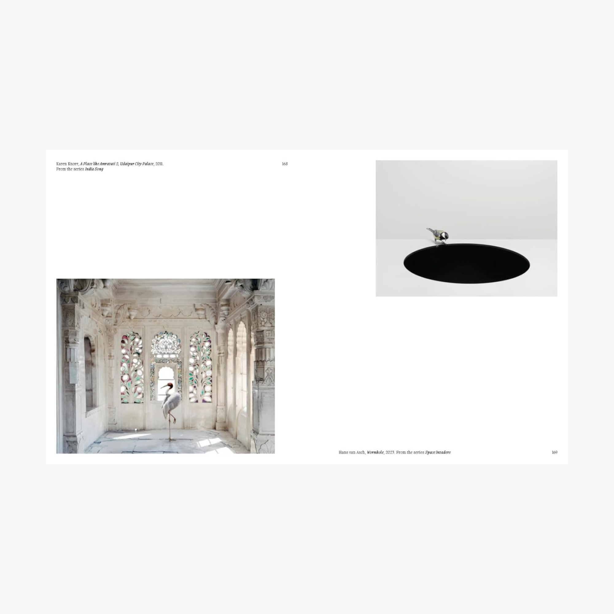 Aviary: The Bird in Contemporary Photography