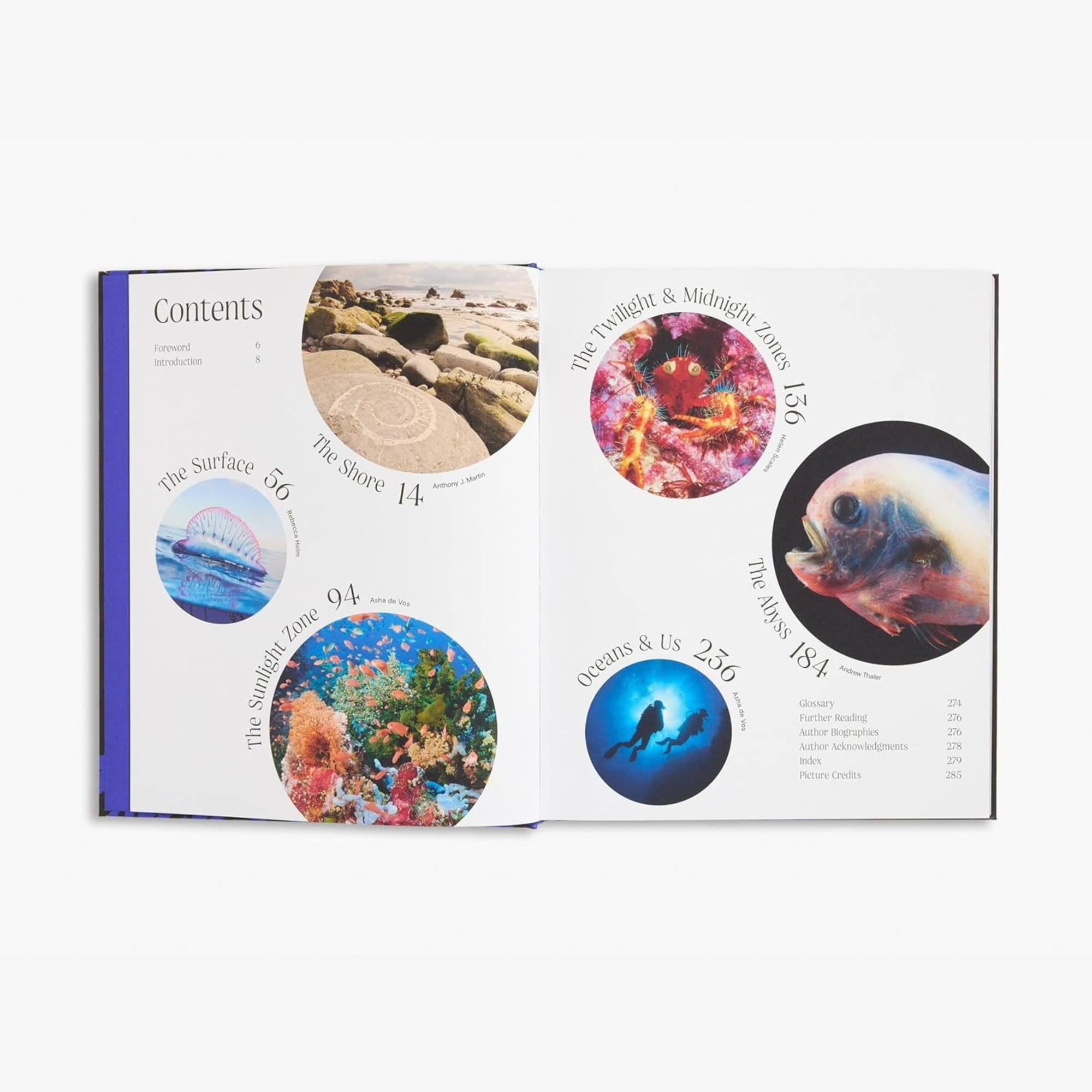 Ocean: From the Shore to the Abyss