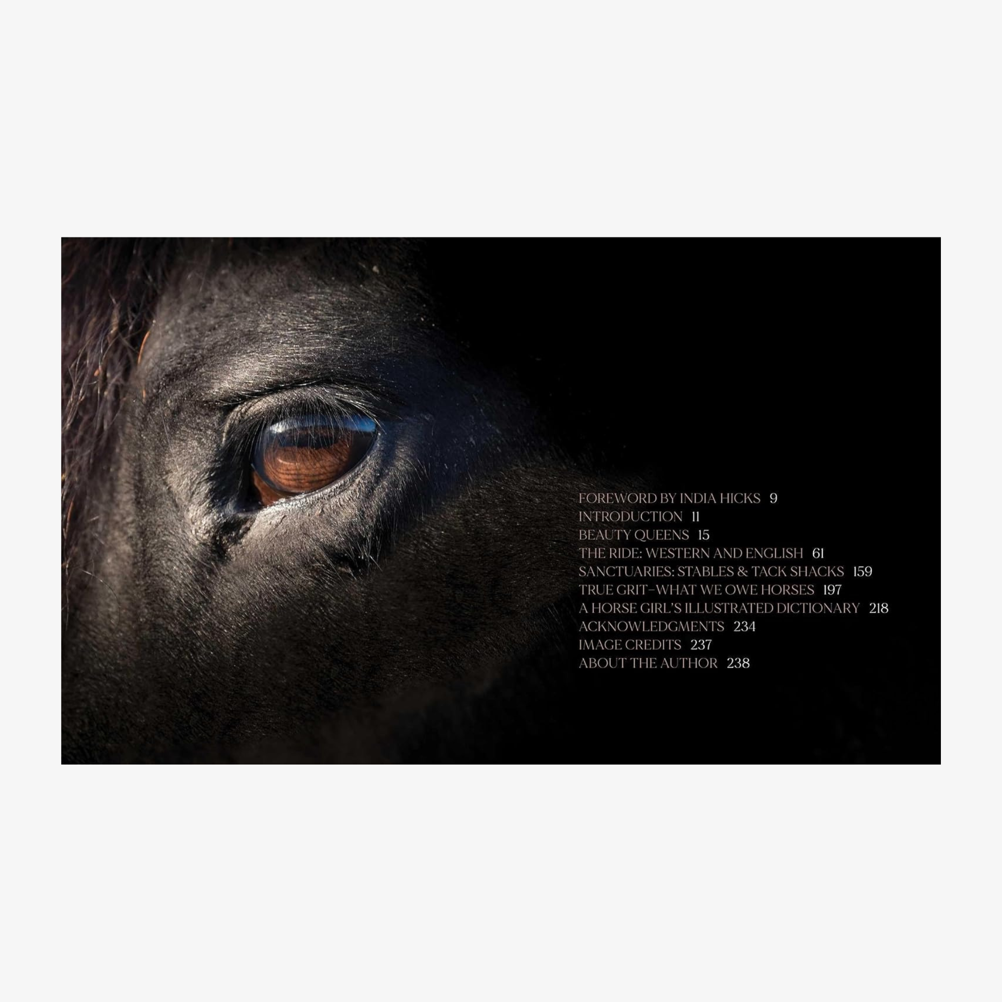 Horse Country, with a Foreword by India Hicks