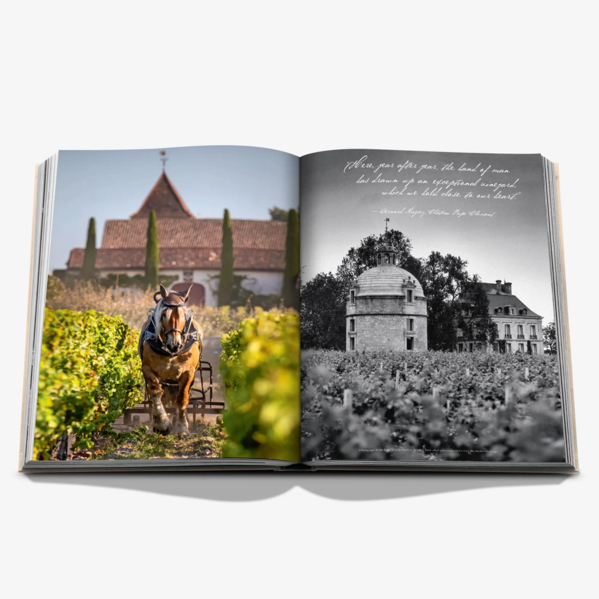 Wine & Travel Complete Collection Gift Set
