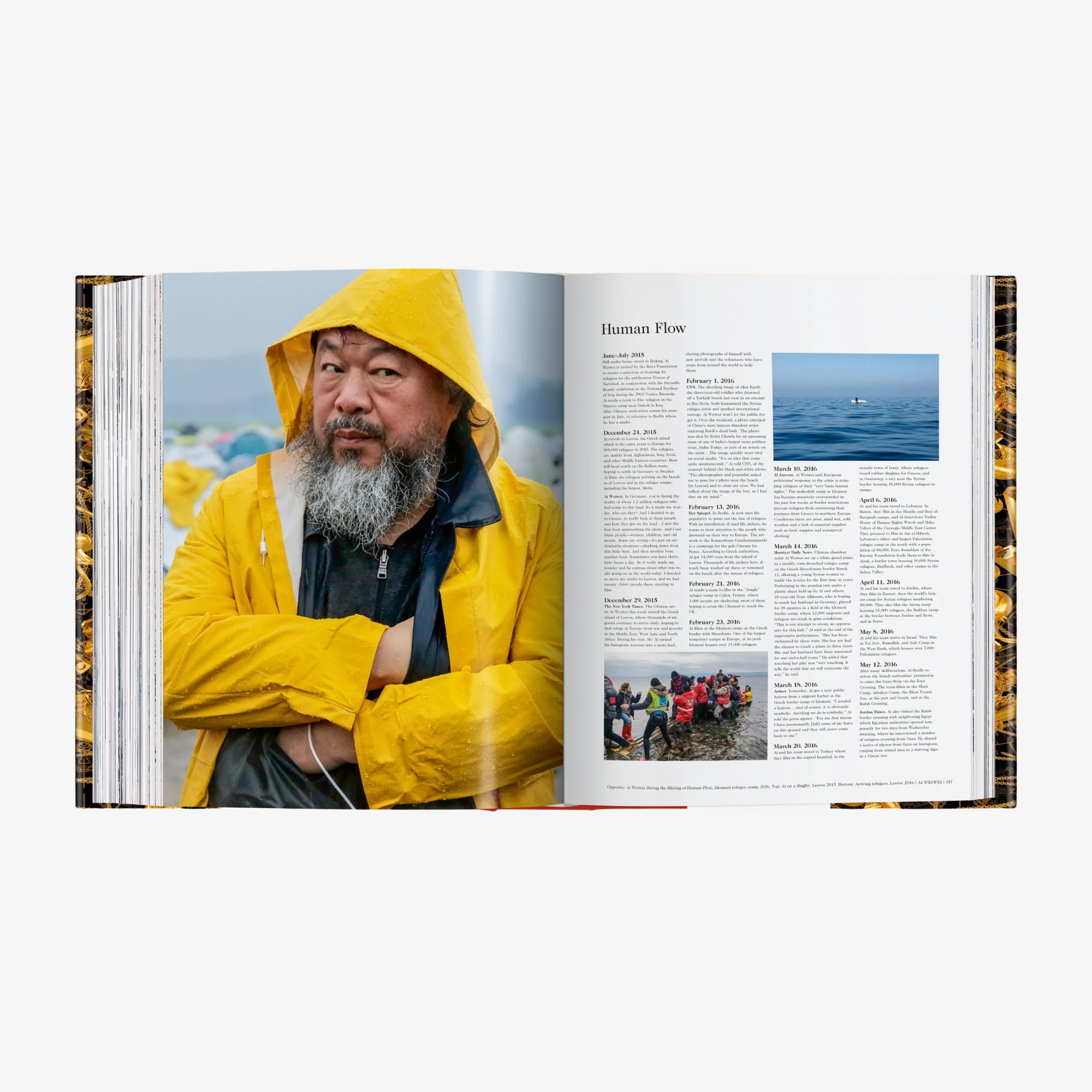 Ai Weiwei. Updated Edition