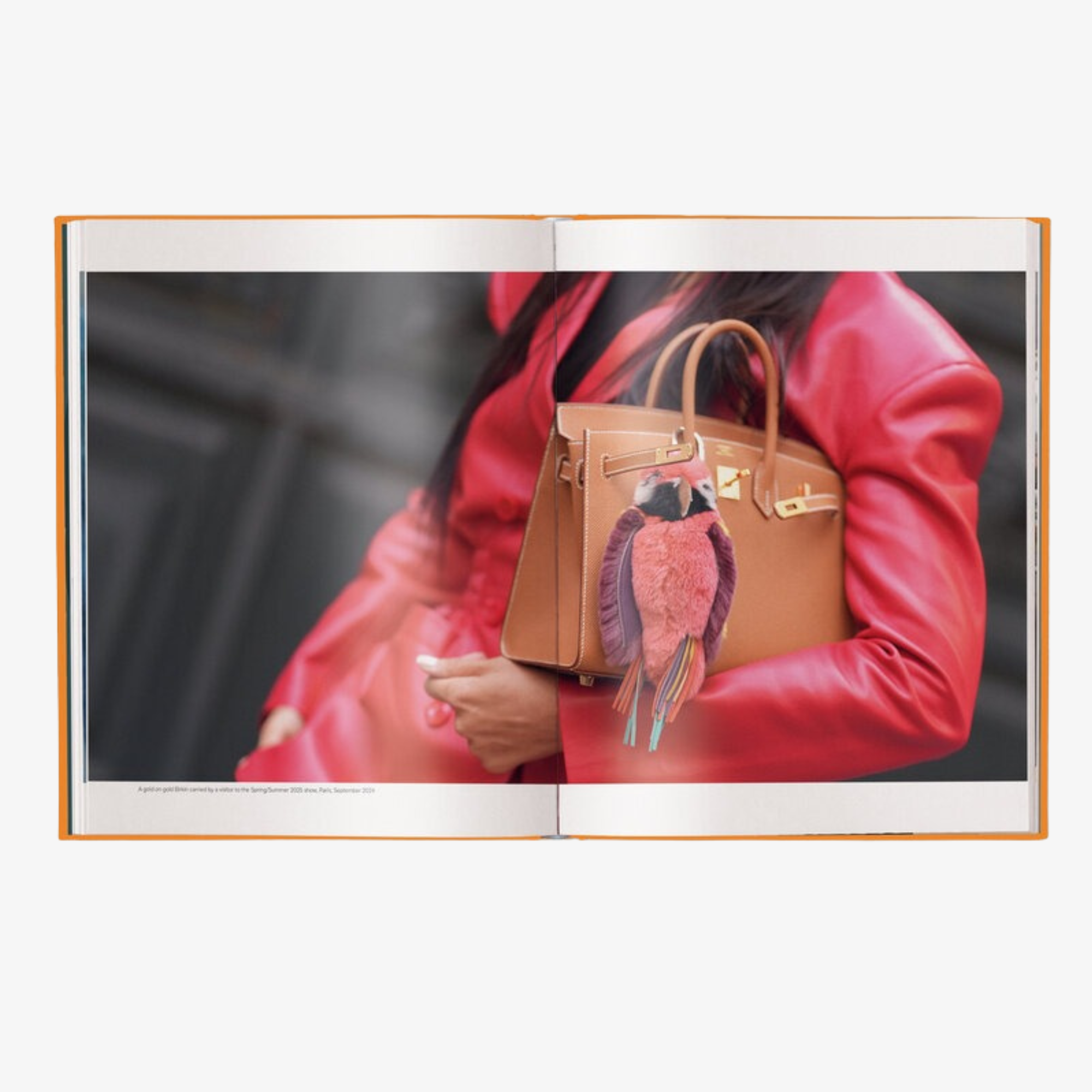 The Ultimate Guide to Hermès Bags (Brand Bible)
